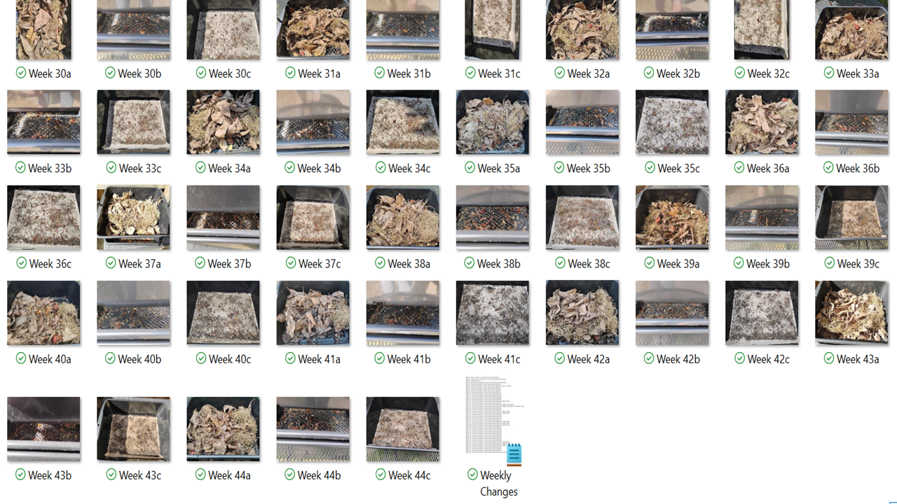 A collection of images showing leaves, soil, and plant debris over a series of weeks, with labels from Week 30a through Week 44c, illustrating the decay process of plant matter over time.
