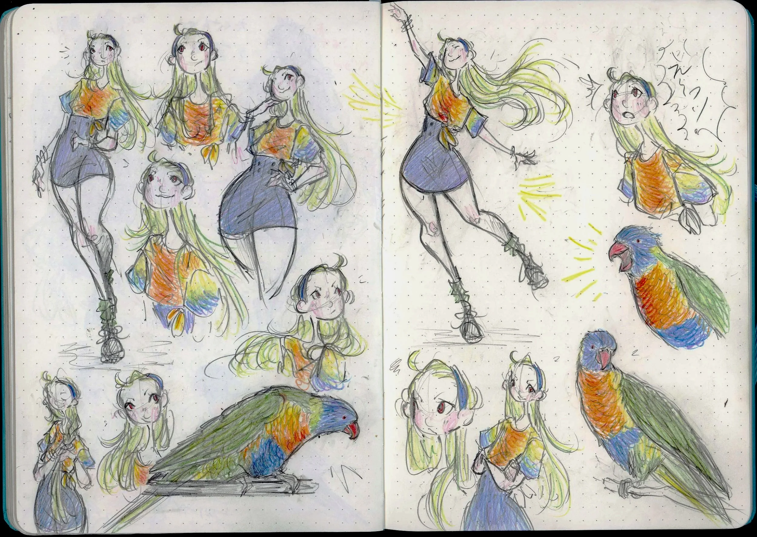 Rainbow+Lorikeet.jpg