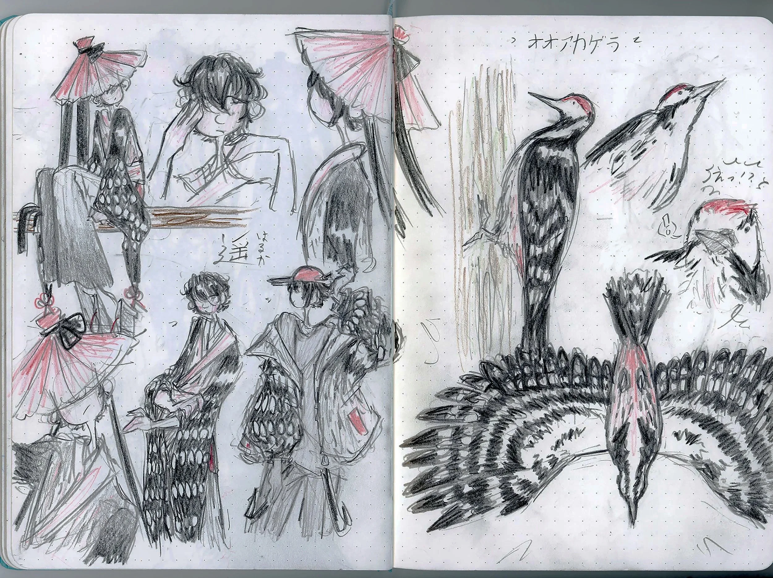 Haruka+Woodpecker+spread.jpg