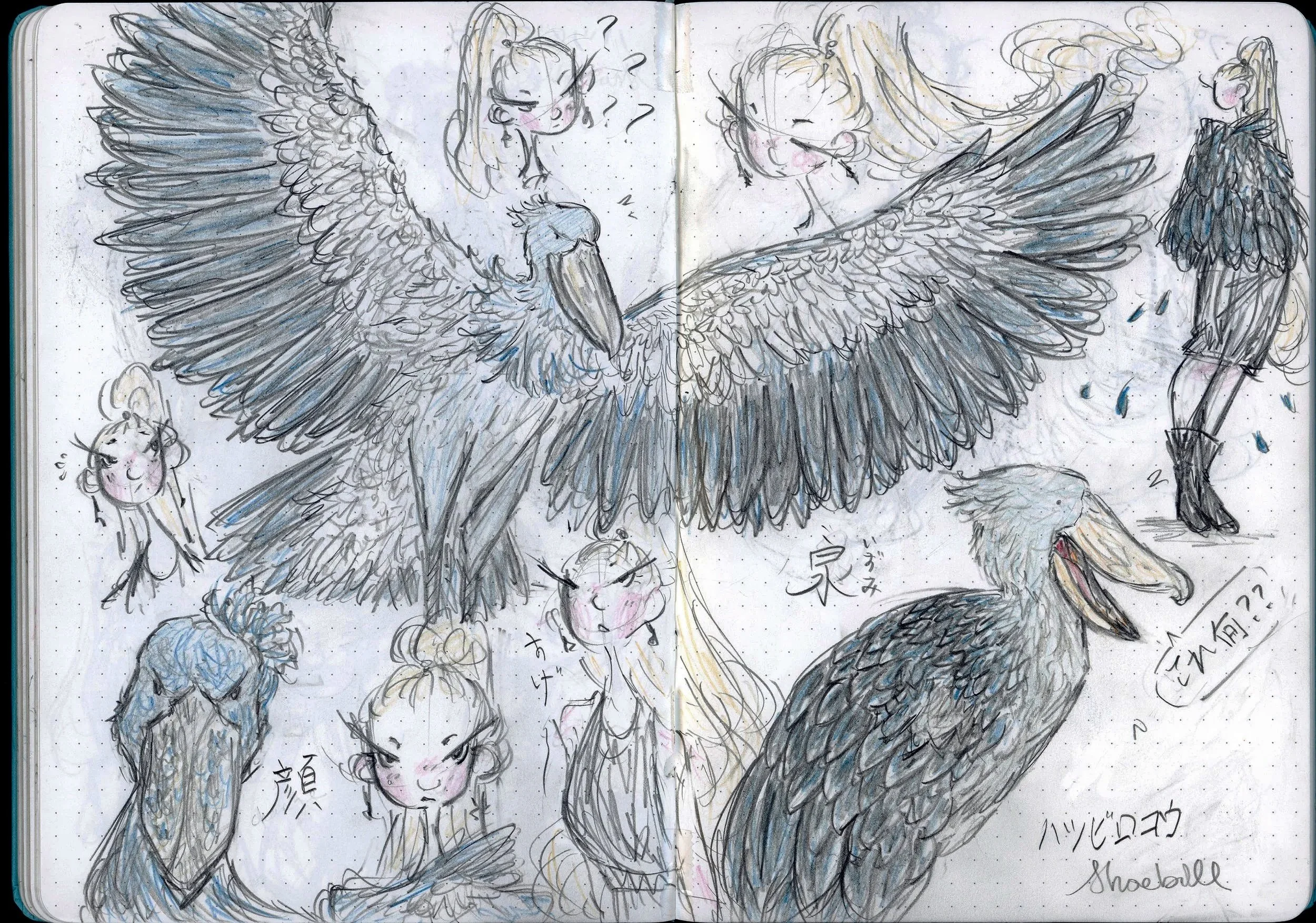 Shoebill+design+%28Izumi%29.jpg