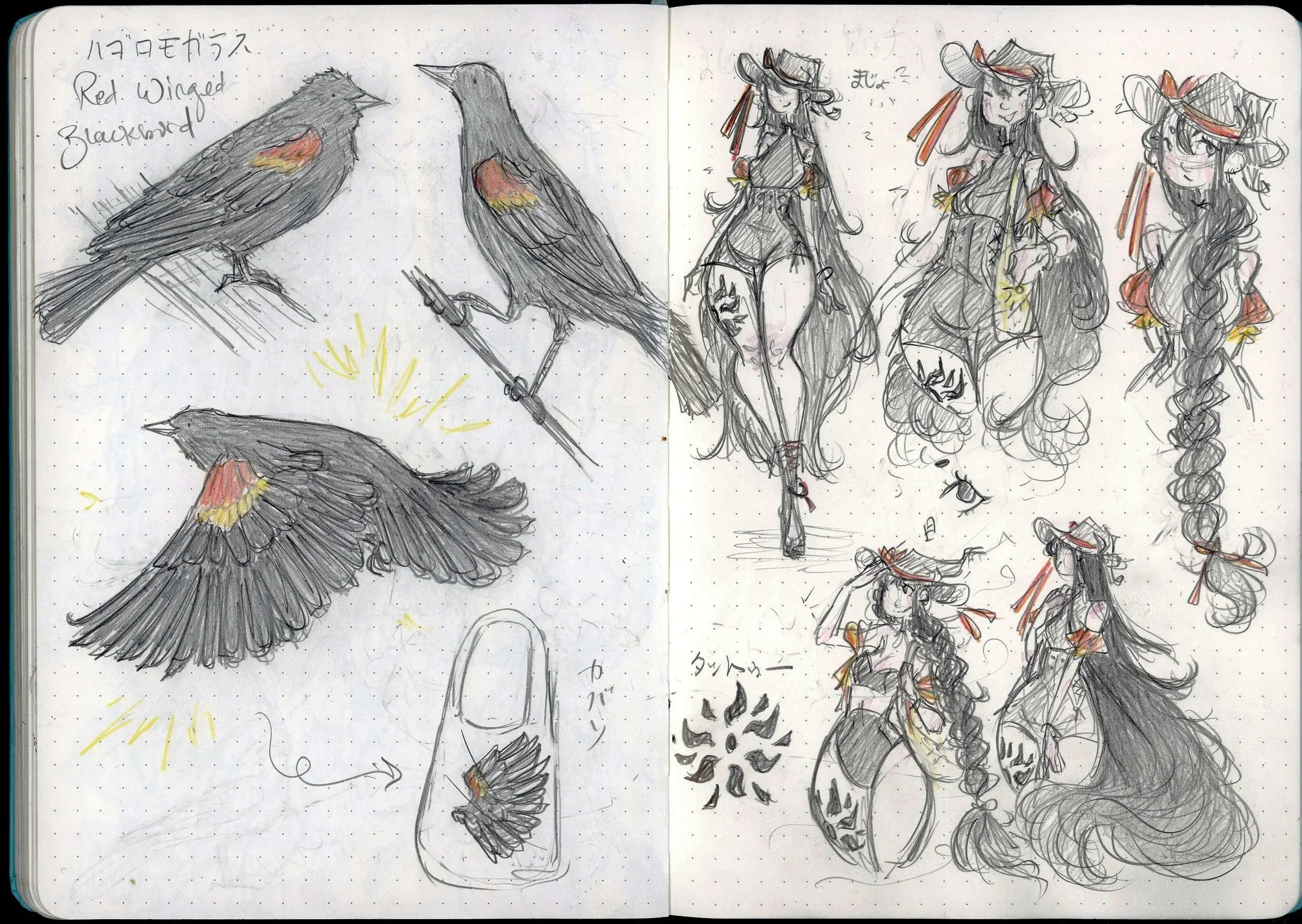 Maeve+-+Red+Winged+Blackbird.jpg