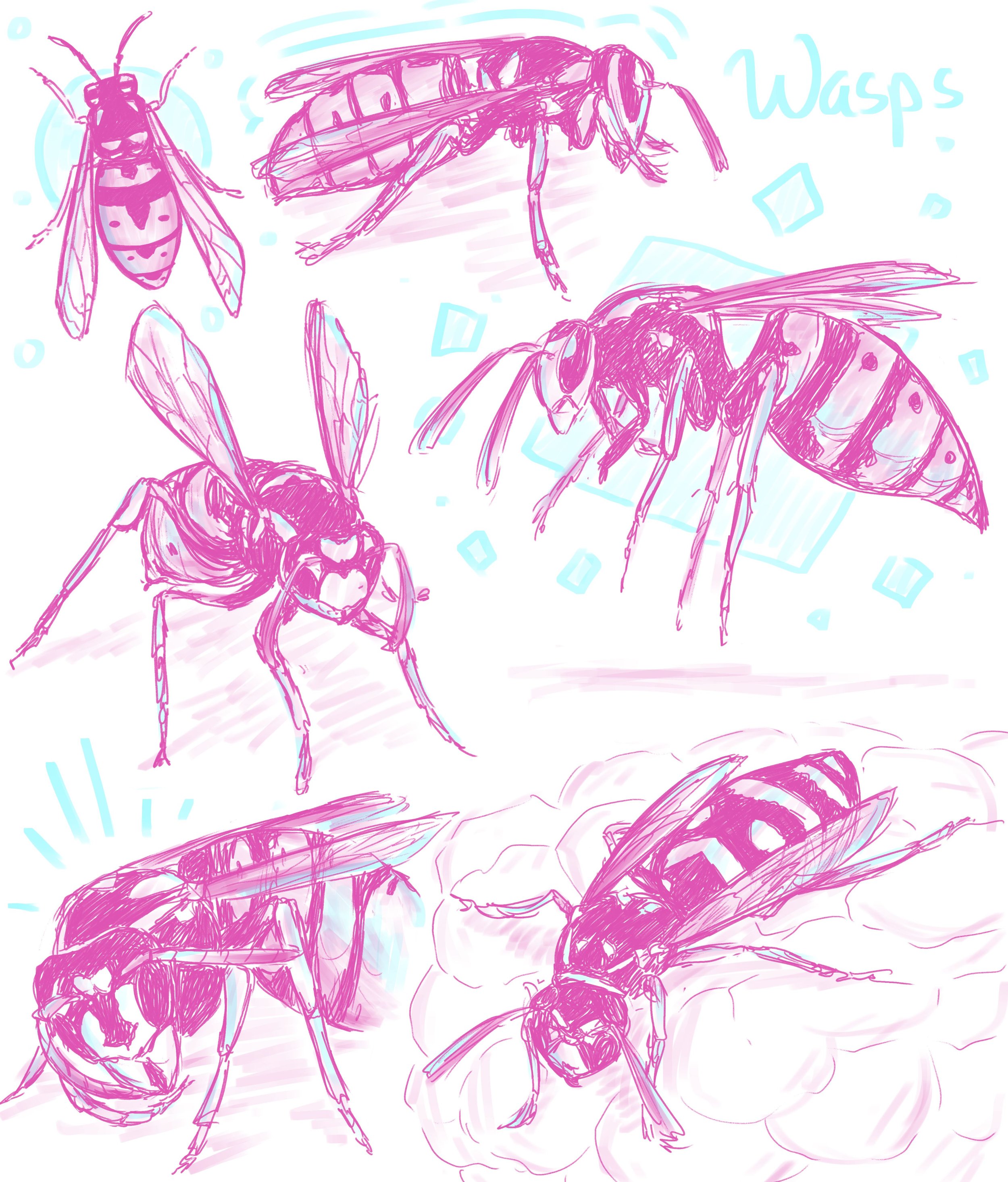Wasps.jpg