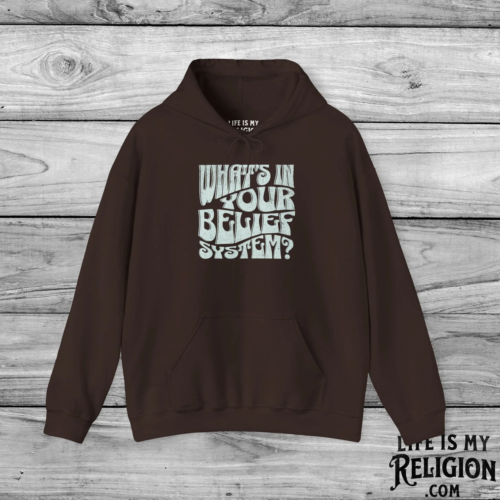 What’s In Your Belief System? - Hoodie