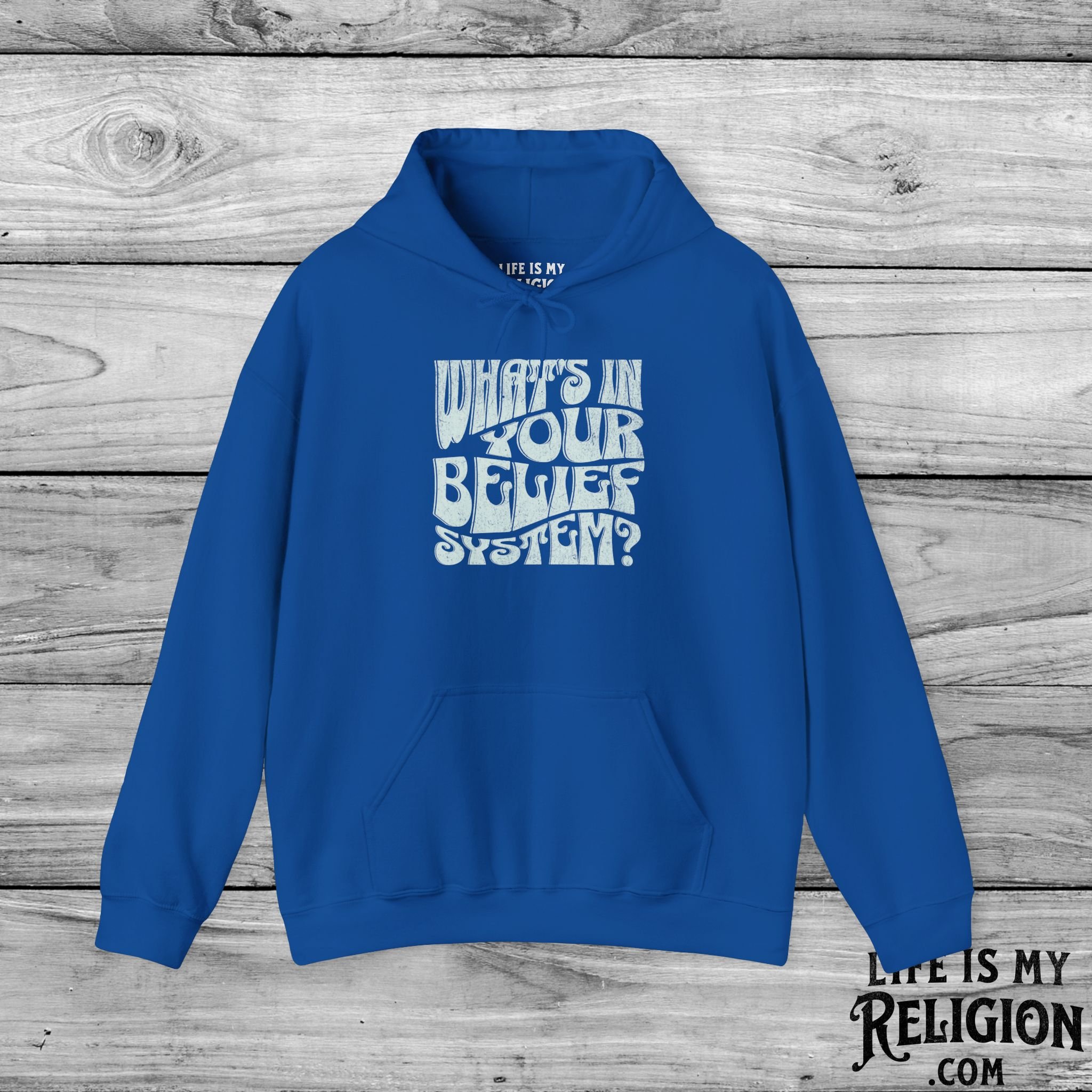 What’s In Your Belief System? - Hoodie