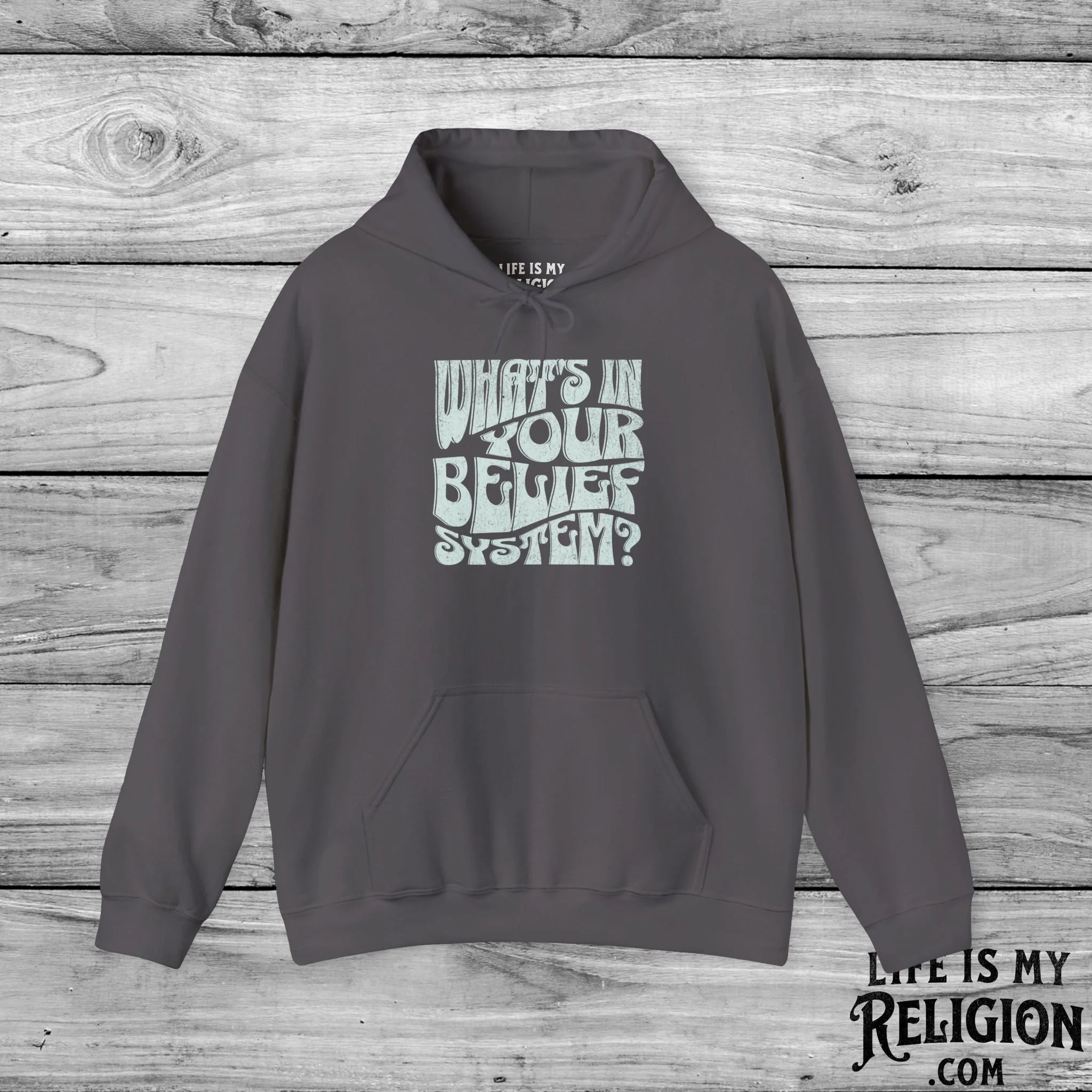 What’s In Your Belief System? - Hoodie