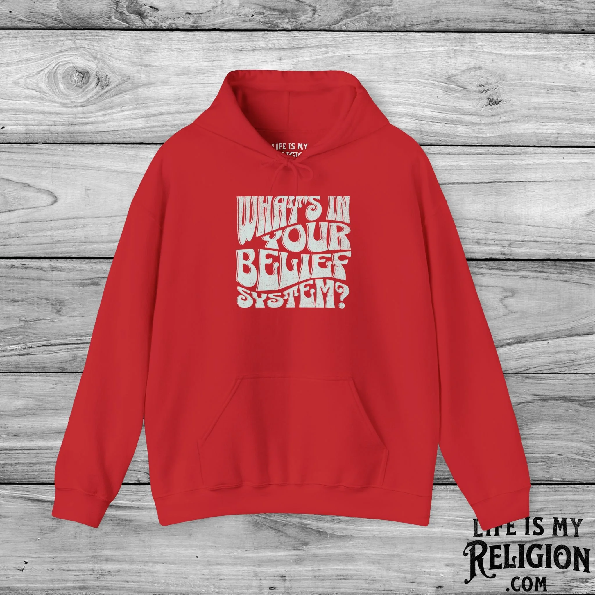 What’s In Your Belief System? - Hoodie