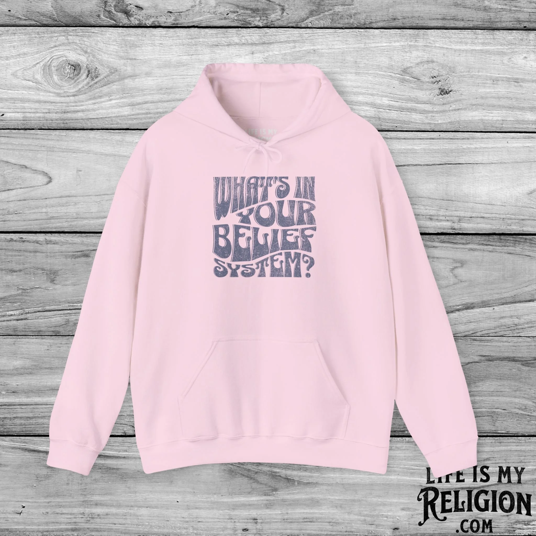 What’s In Your Belief System? - Hoodie