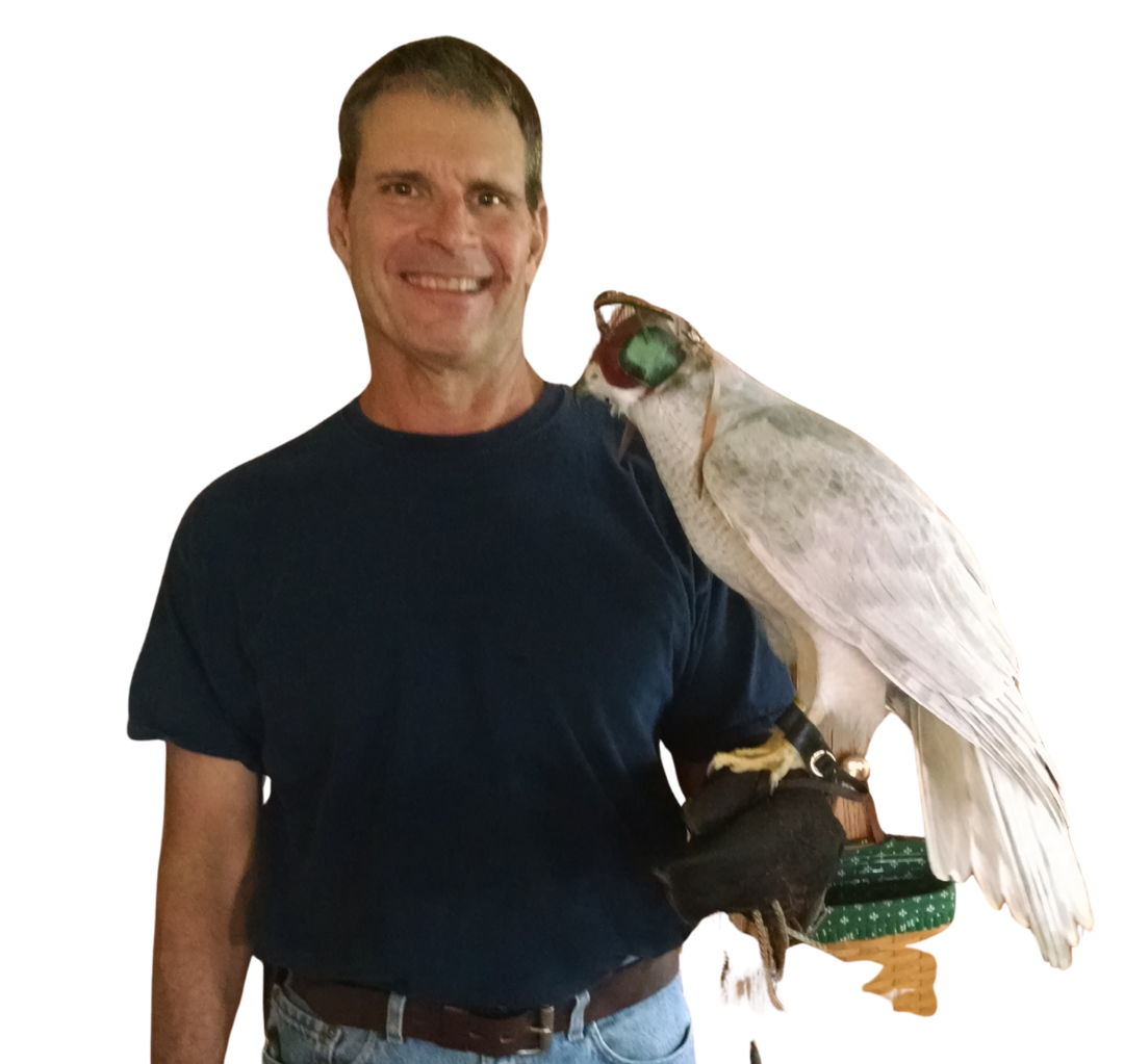 Frank's Goshawks. Falconry. Breeding. Hunting. Hawks. Siberian Goshawk.