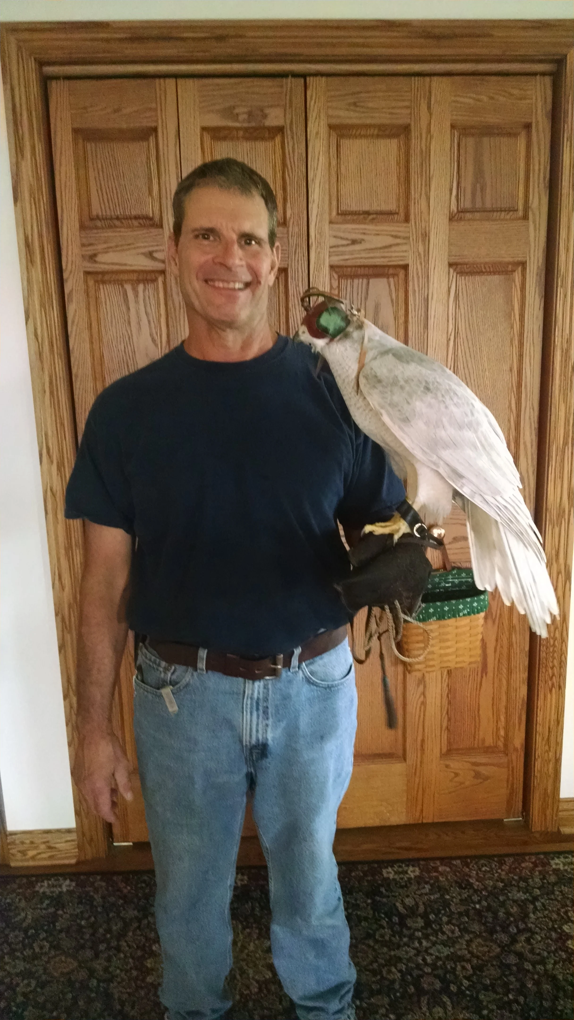 Frank's Goshawks. Falconry. Breeding. Hunting. Hawks. Siberian Goshawk. 