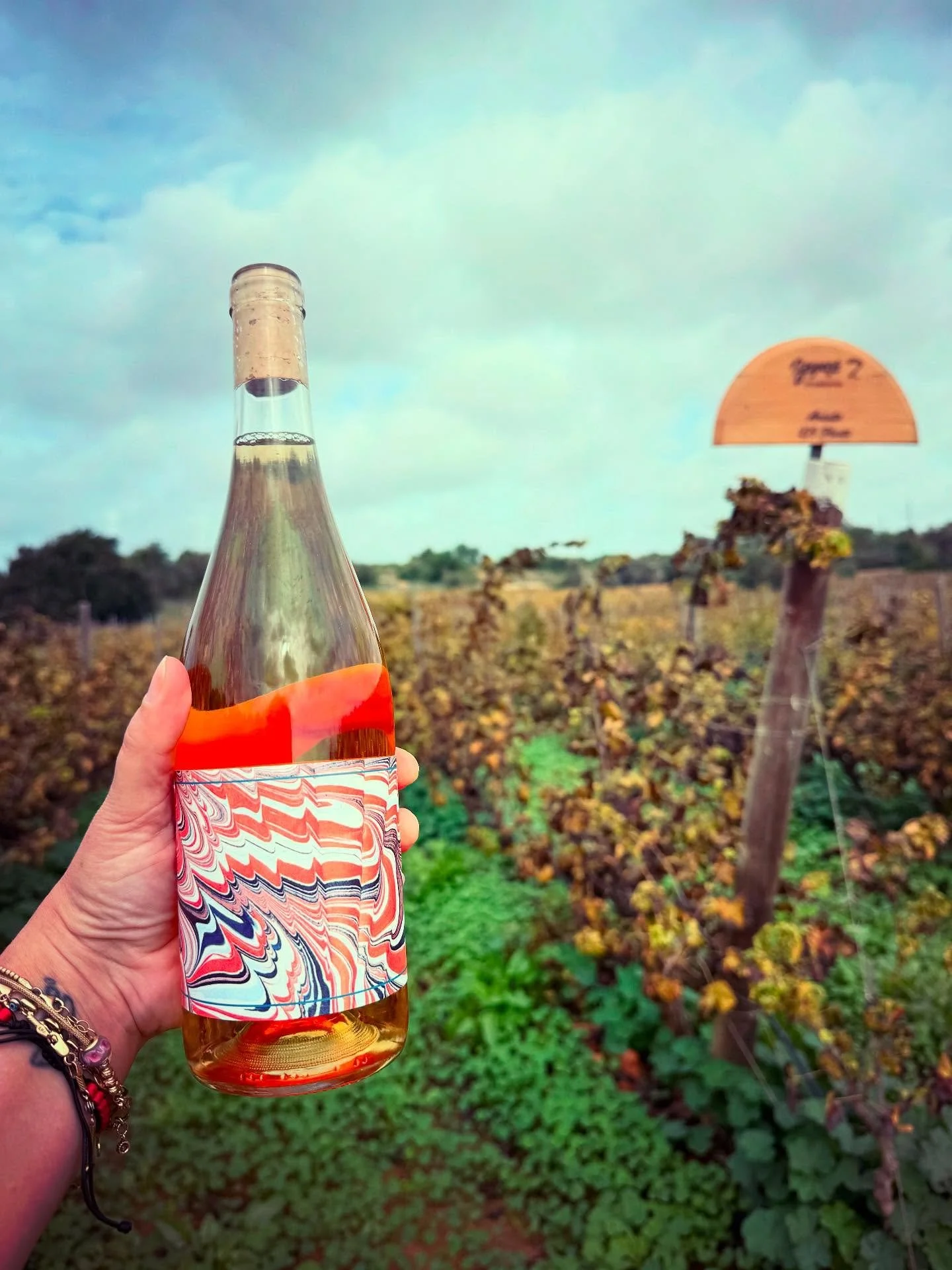 This is Sorvo Orange 2023. 🧡

Hand-picked Arinto from the Algarve region 🇵🇹, fermented on the skins (7 months) and bottled in small batches.

This is a wine I can pour and say &ldquo;I made this&rdquo;.

It&rsquo;s textured, a little grippy, built