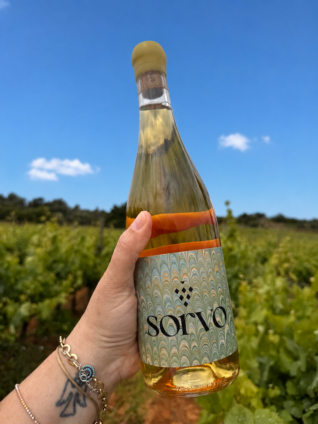 Sorvo Orange 2024