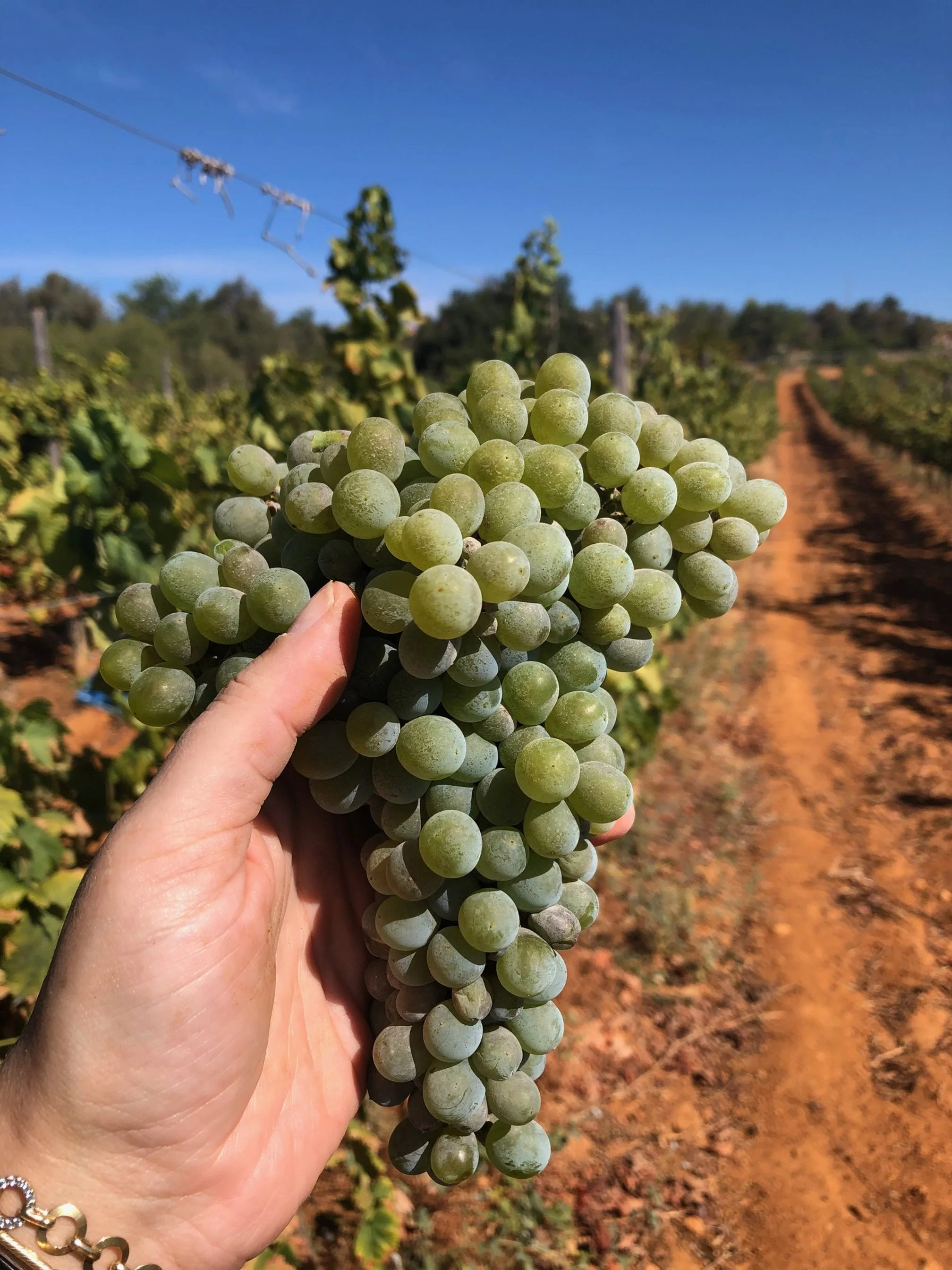 Harvest August 2023
