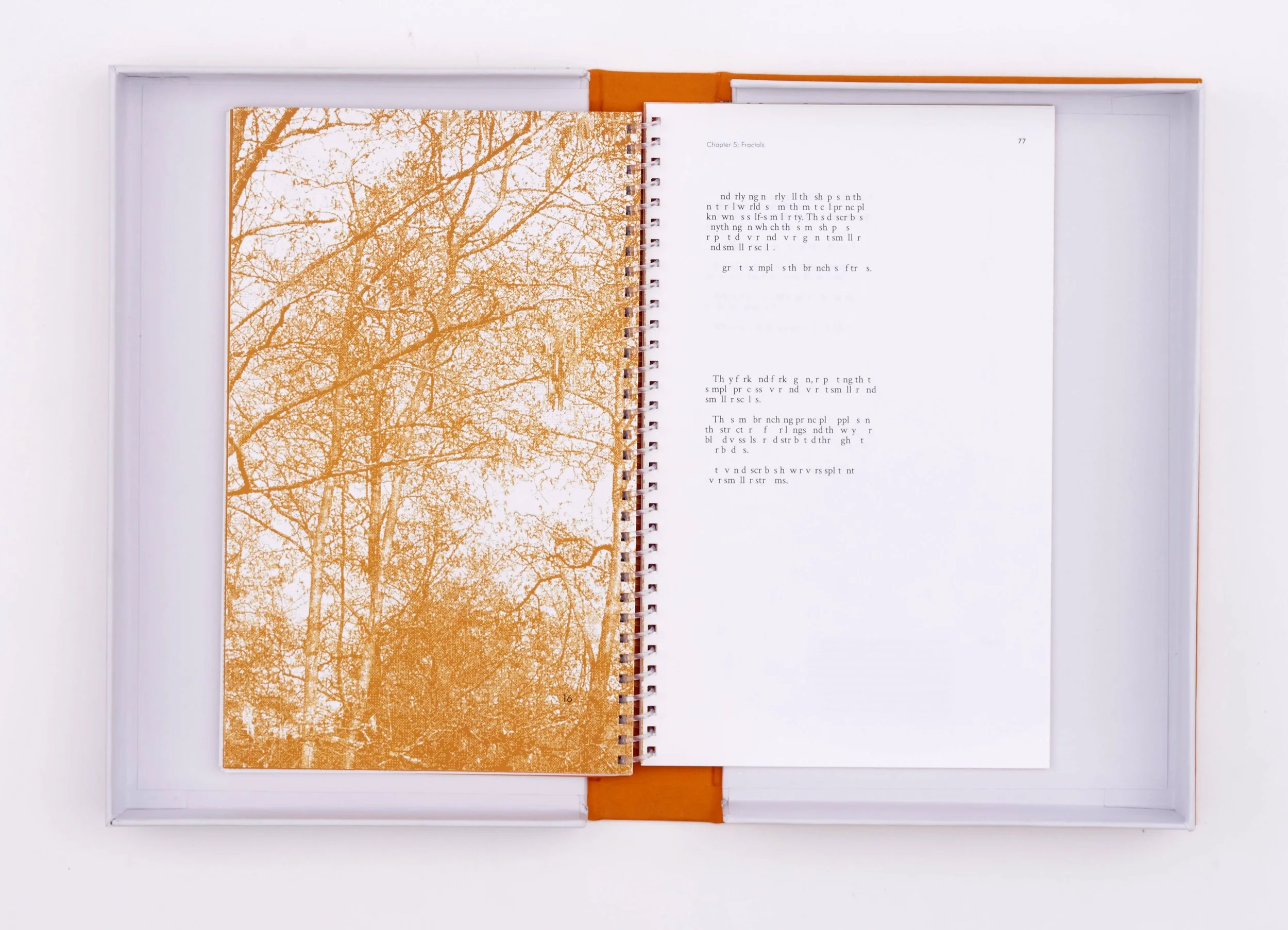 ISTD LENA0310 outcome.jpg