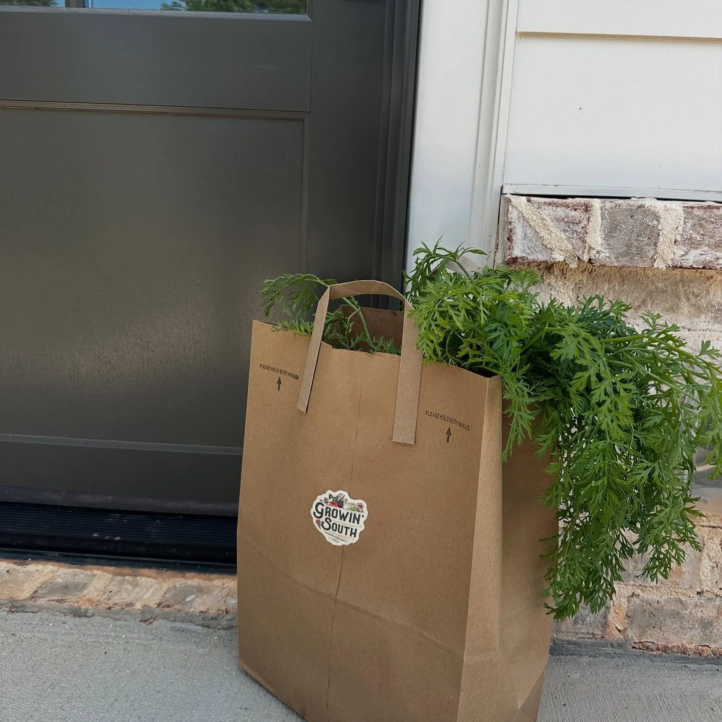 Who wouldn&rsquo;t want to come home to a Growin&rsquo; South goodie bag?! Fresh veggies from YOUR OWN GARDEN that you didn&rsquo;t have to fool with. That&rsquo;s why we offer garden maintenance to our clients so they can enjoy all the benefits of a