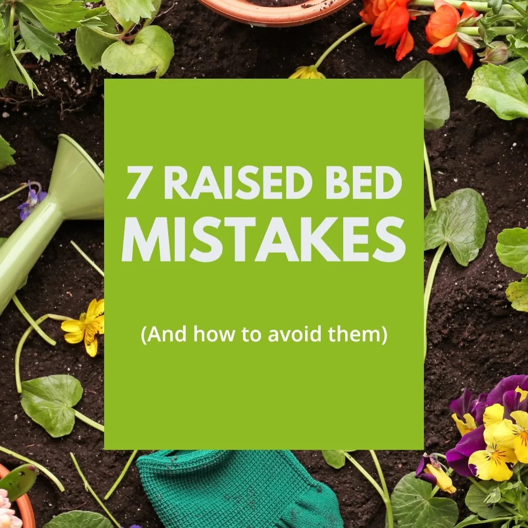 Most raised bed gardening failures start before the first plant ever goes into the dirt. 

They happen before the first seed is ever planted.

I&rsquo;ve seen people spend thousands on beautiful cedar beds and expensive plants only to struggle becaus