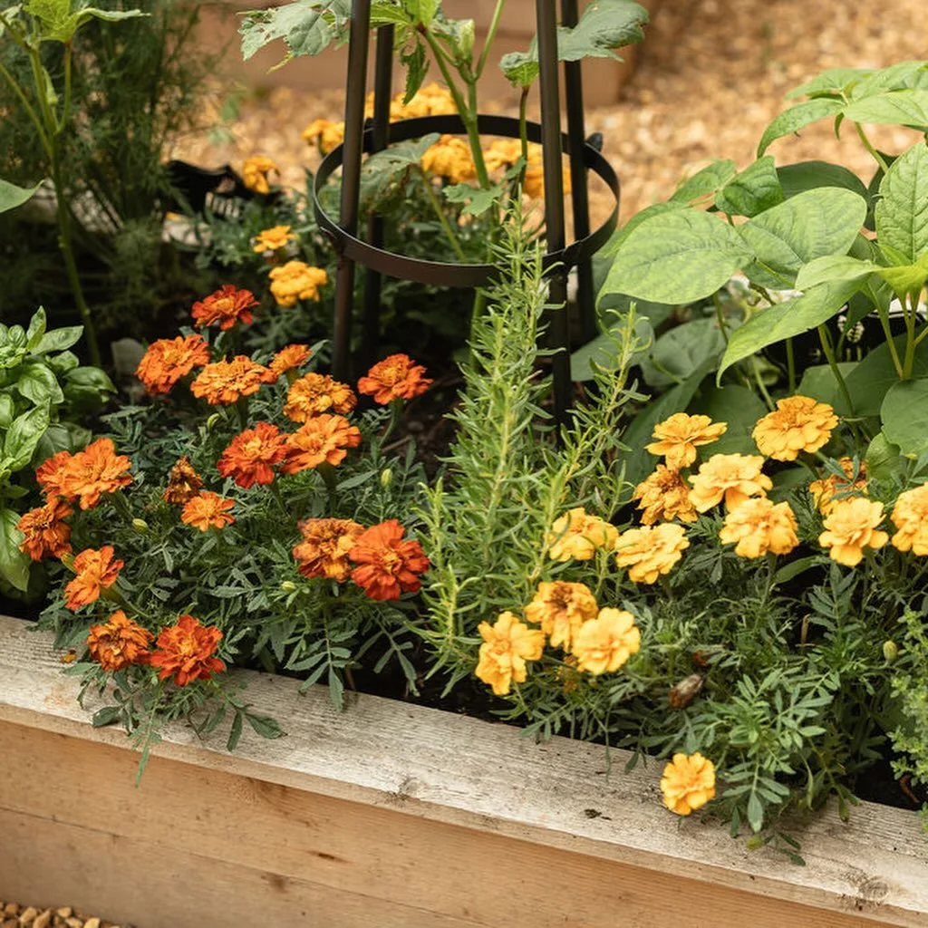 A big thank you to my talented friend, @juju_social, for the garden glamor shots! 😍
