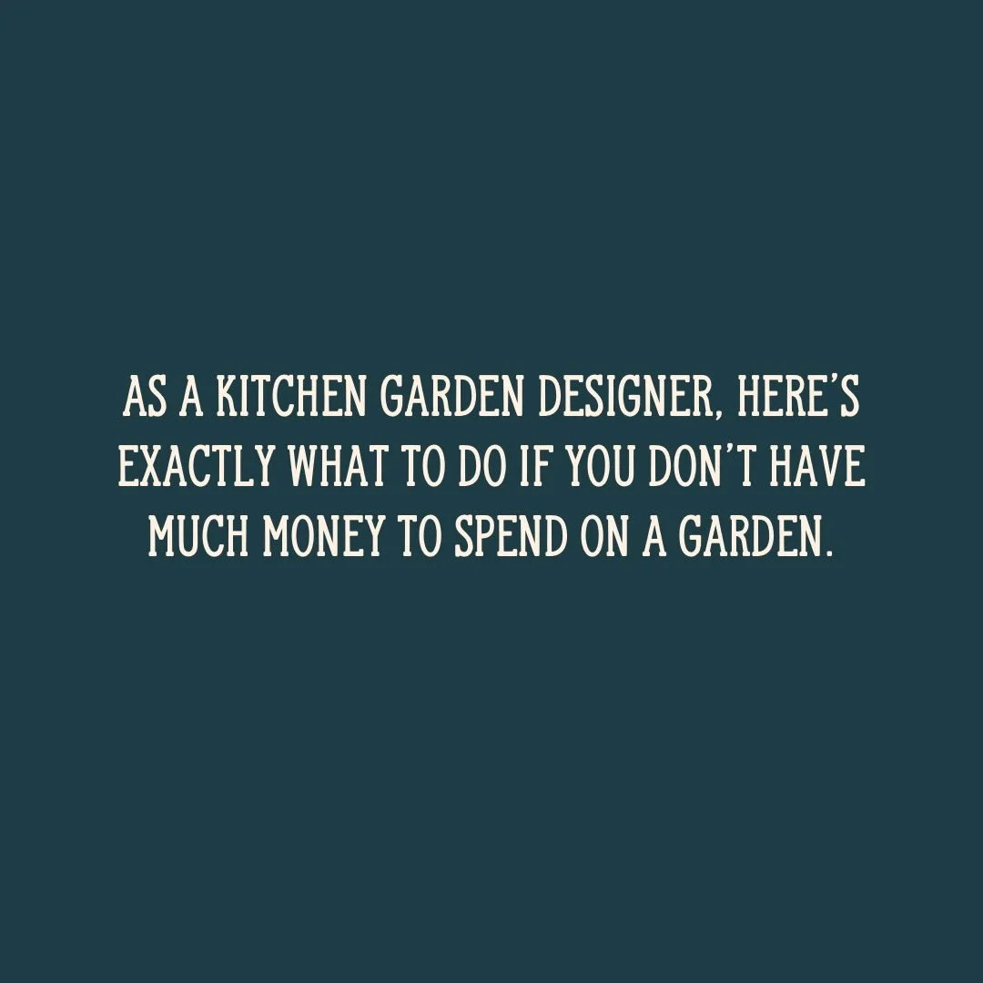 One of the biggest misconceptions about vegetable gardening is that you need thousands of dollars to get started.

You don&rsquo;t.

If I were starting over with a limited budget, I&rsquo;d focus on three things:

🌱 Start small
🌱 Invest in good soi