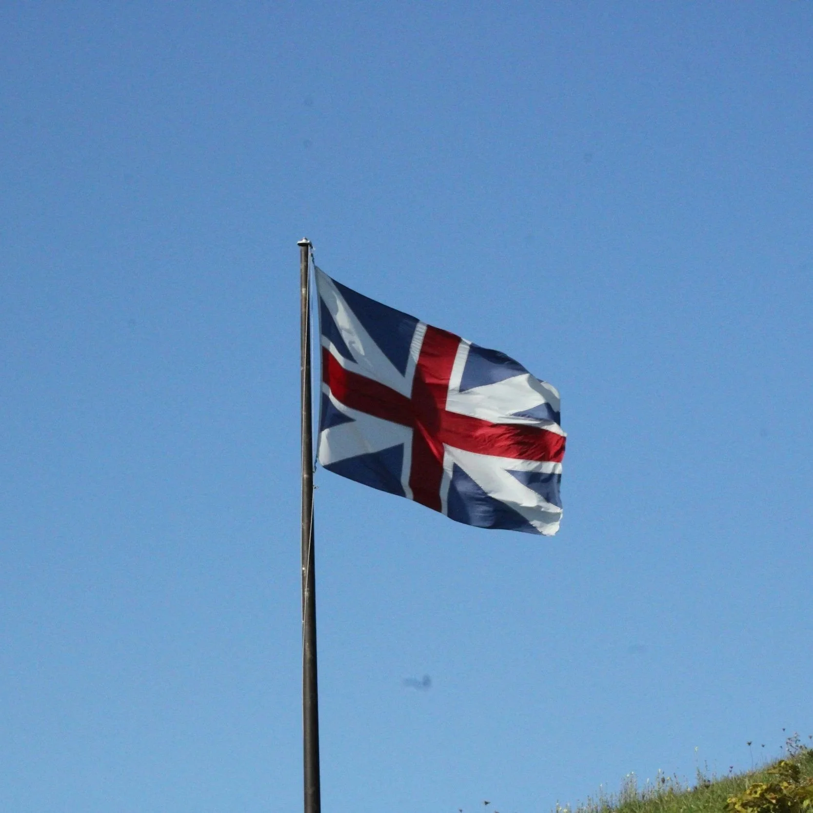 British Union Jack flag flying on a pole against a clear blue sky with some grass and flowers at the bottom.
