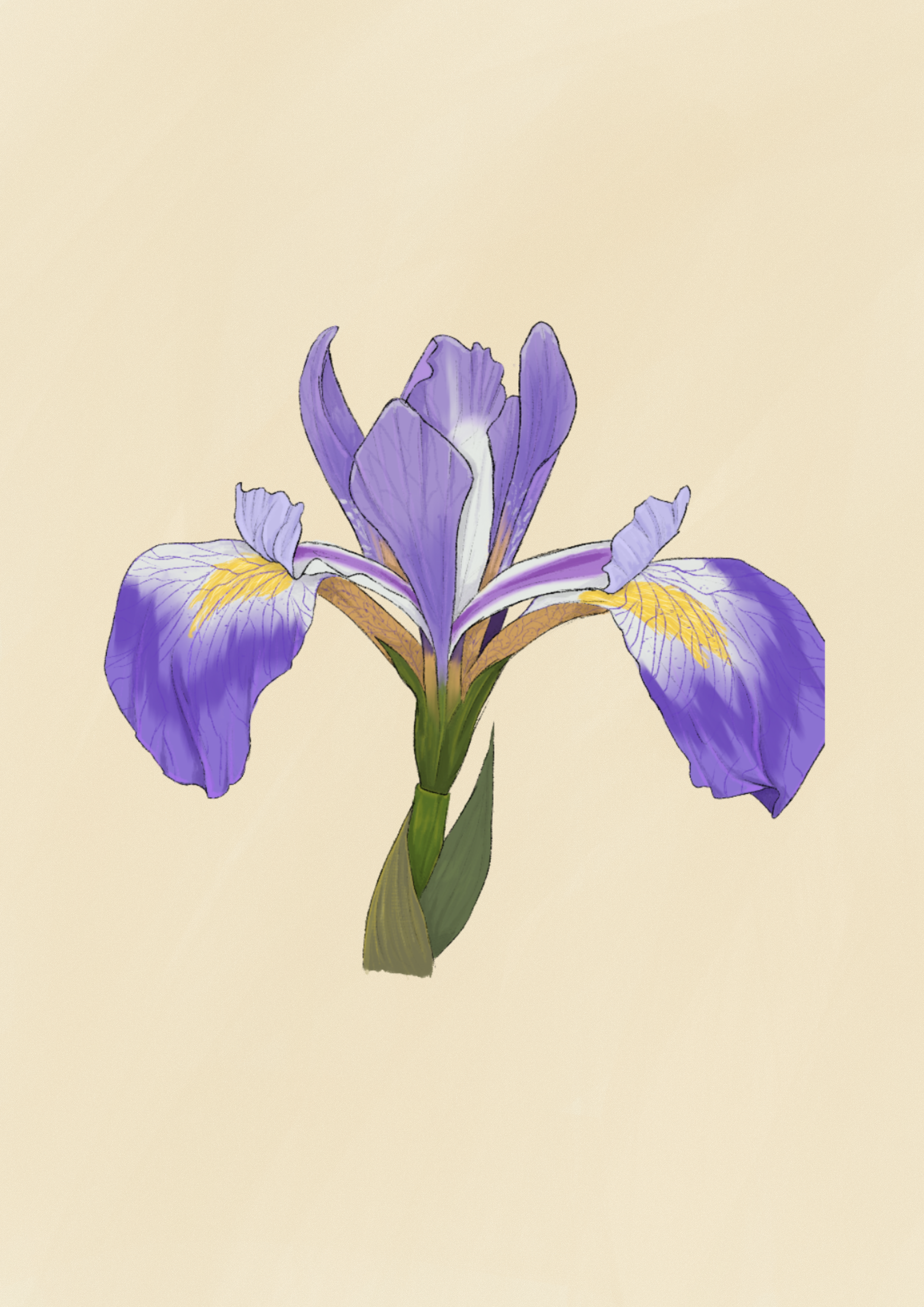 IMG_5842.png