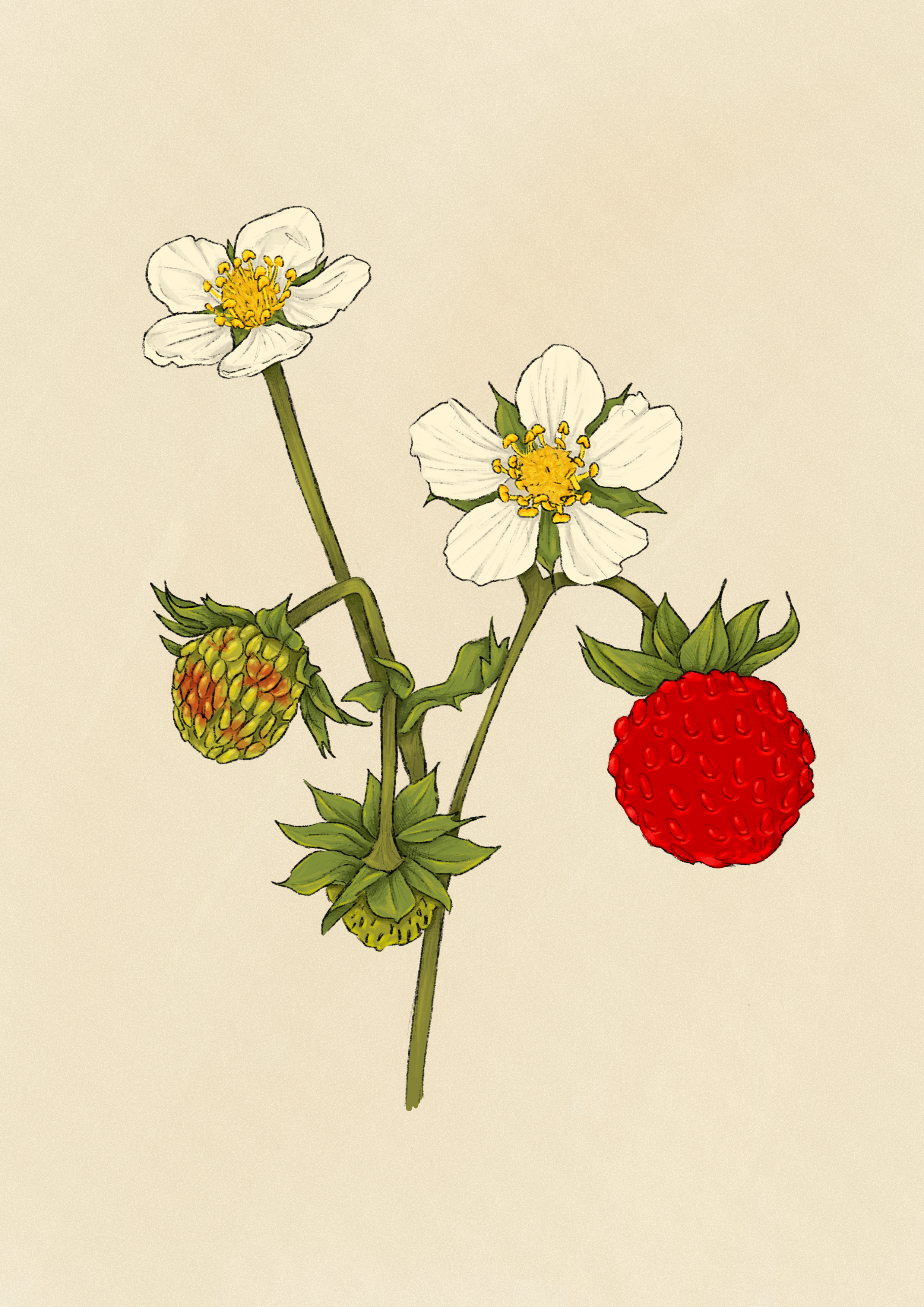 IMG_5840.png