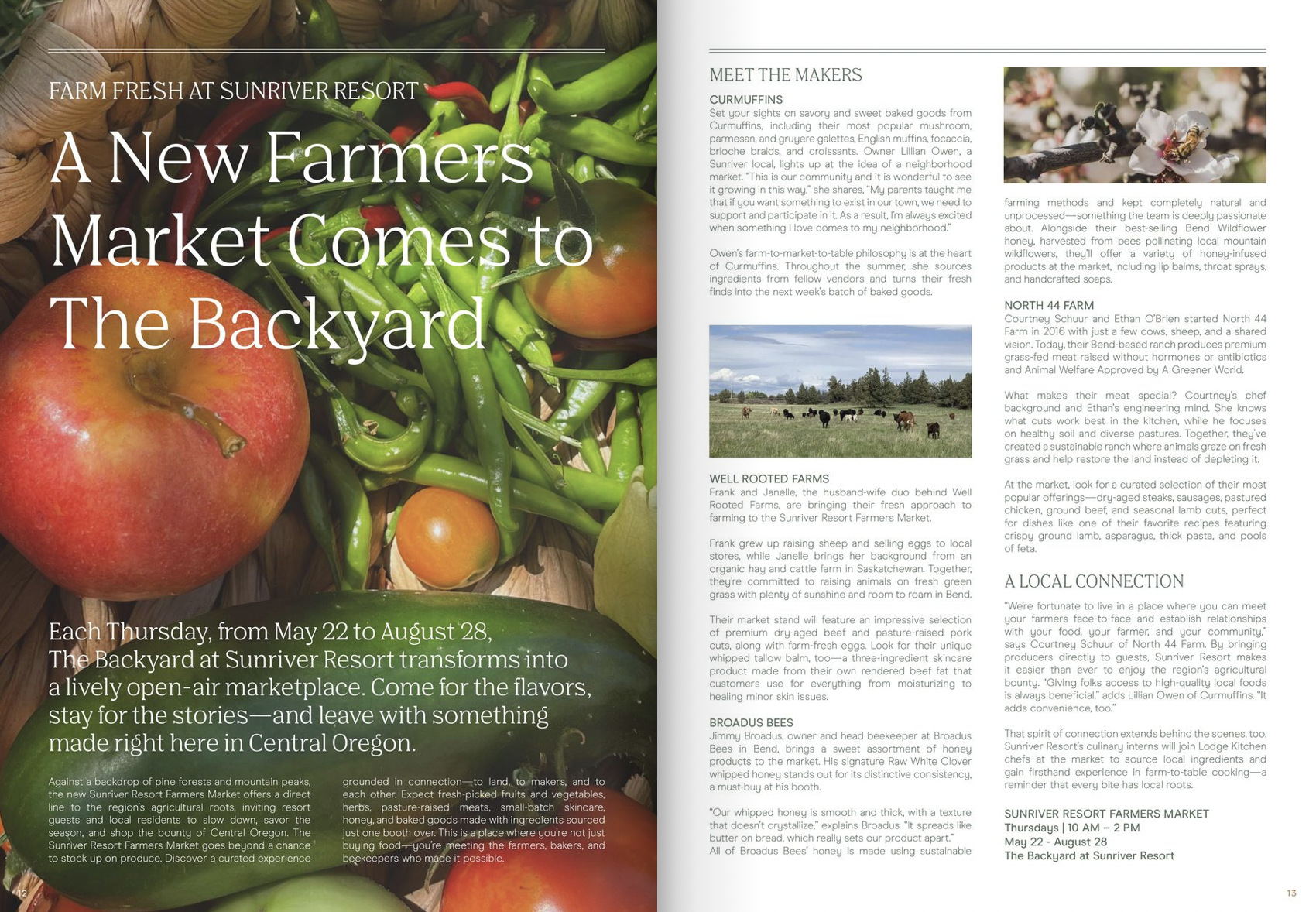 Screenshot 2025-07-22 at 9.31.55 AM.png