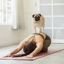 Puppy Yoga with Jess and Drew