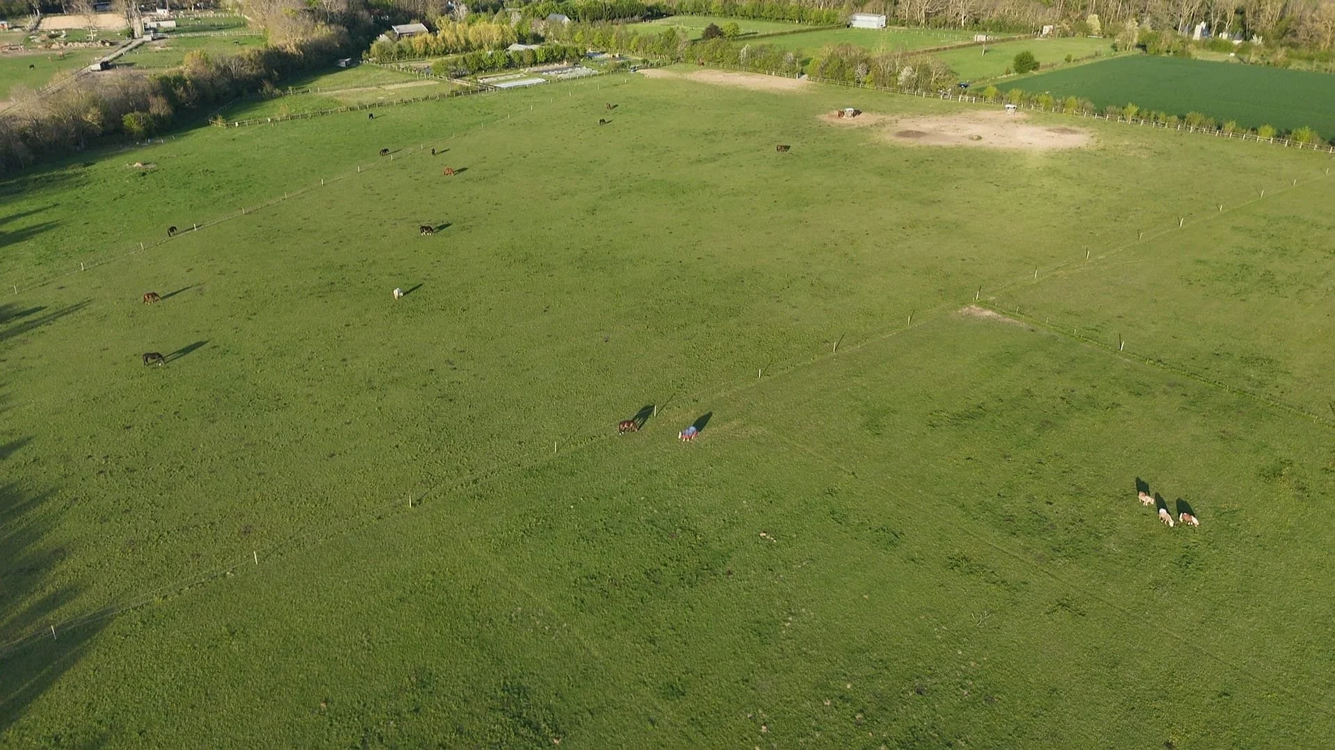 Pré des chevaux