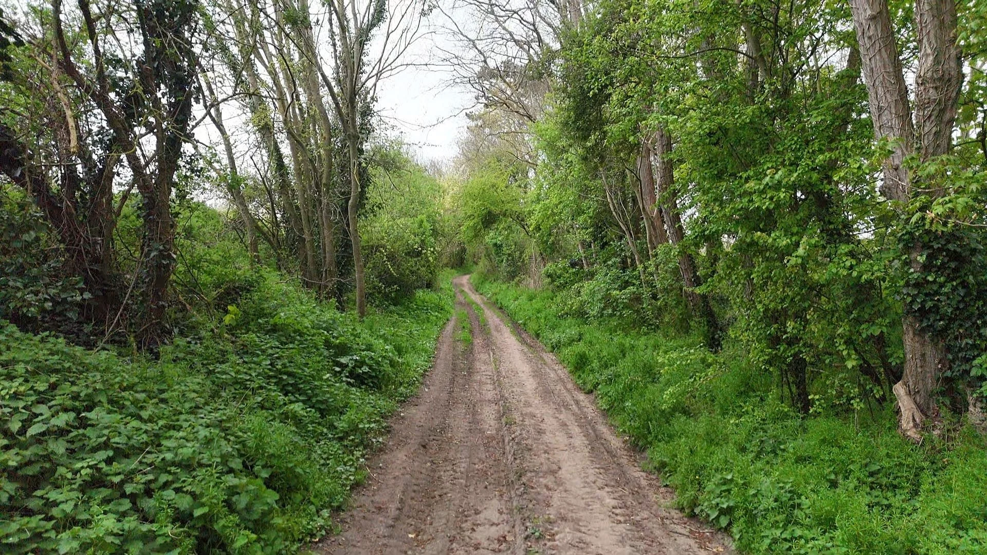 Chemin de balade