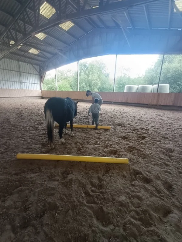Séance de motricité par médiation équine avec un enfant et un cheval dans un manège couvert, avec deux barres en longueur que le cheval et l'enfant doivent passer.