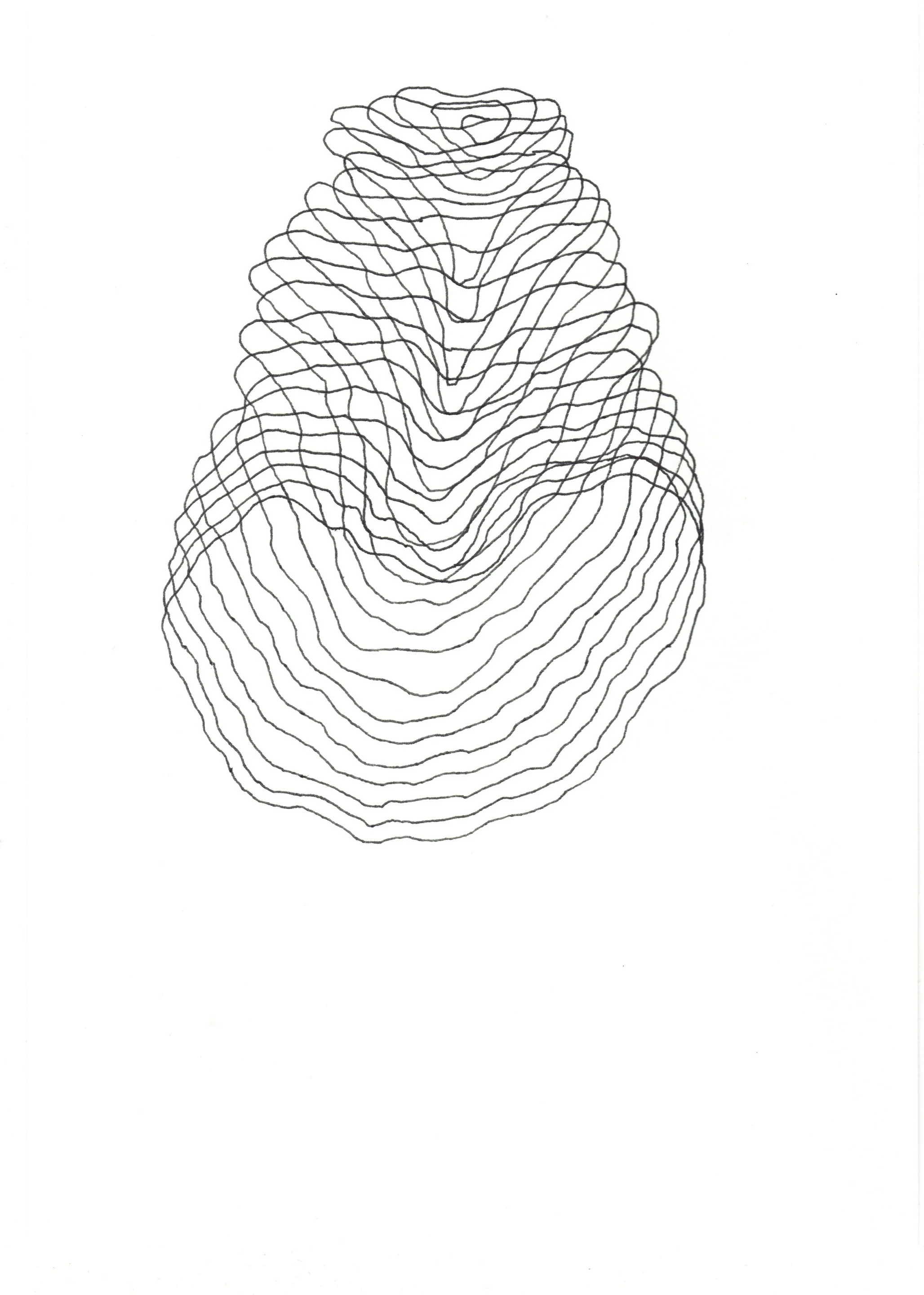 Shelby Wilson - Giant Sequoia