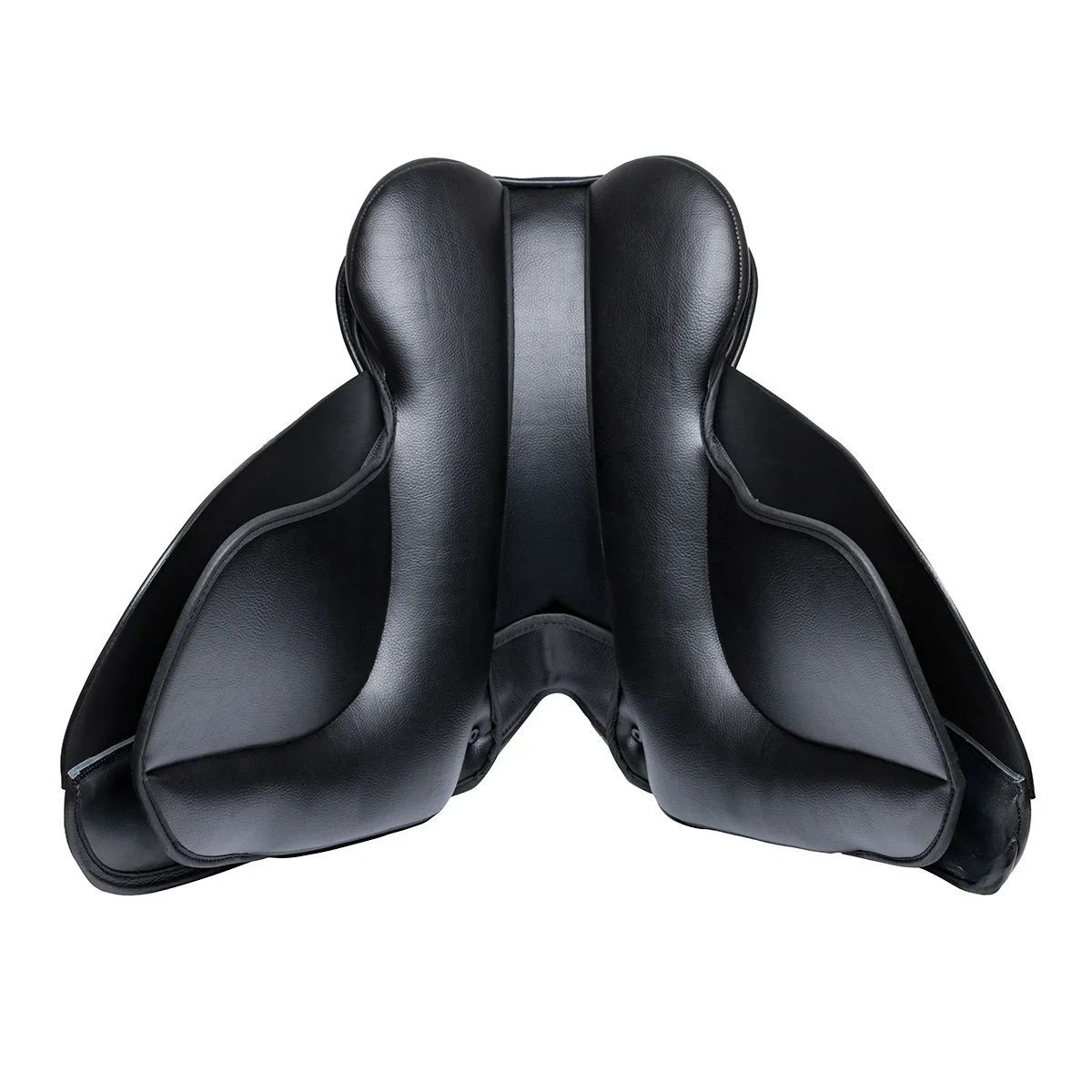 T9Dressagepanelweb.webp
