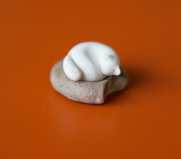 cat and donut 2.png