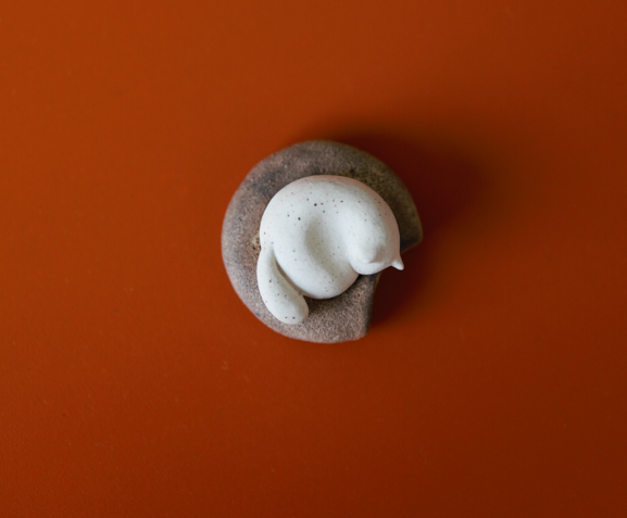 cat and donut 3.png