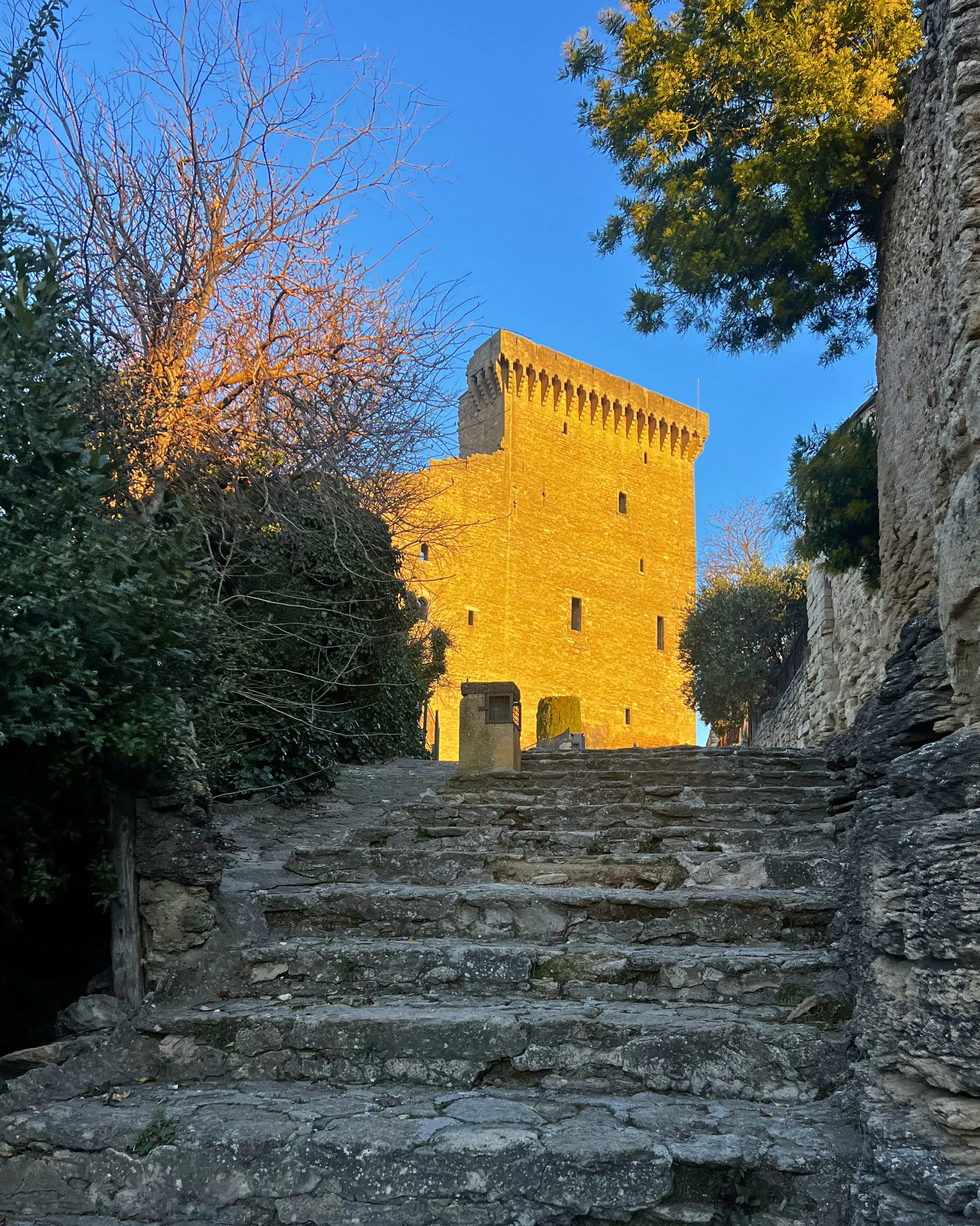 Castle.jpg