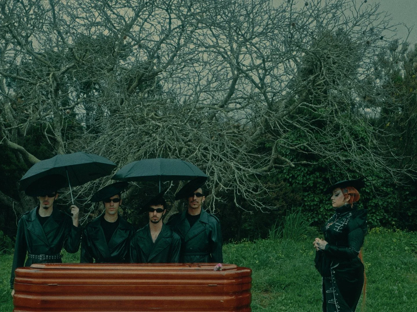 Timeline v09_01_02_37_01.jpg