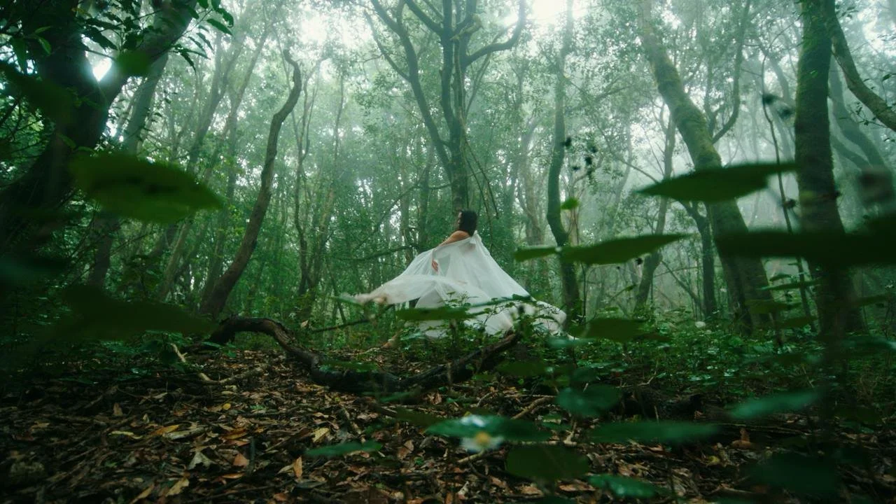 photo_2025-10-27 12.08.49.jpeg