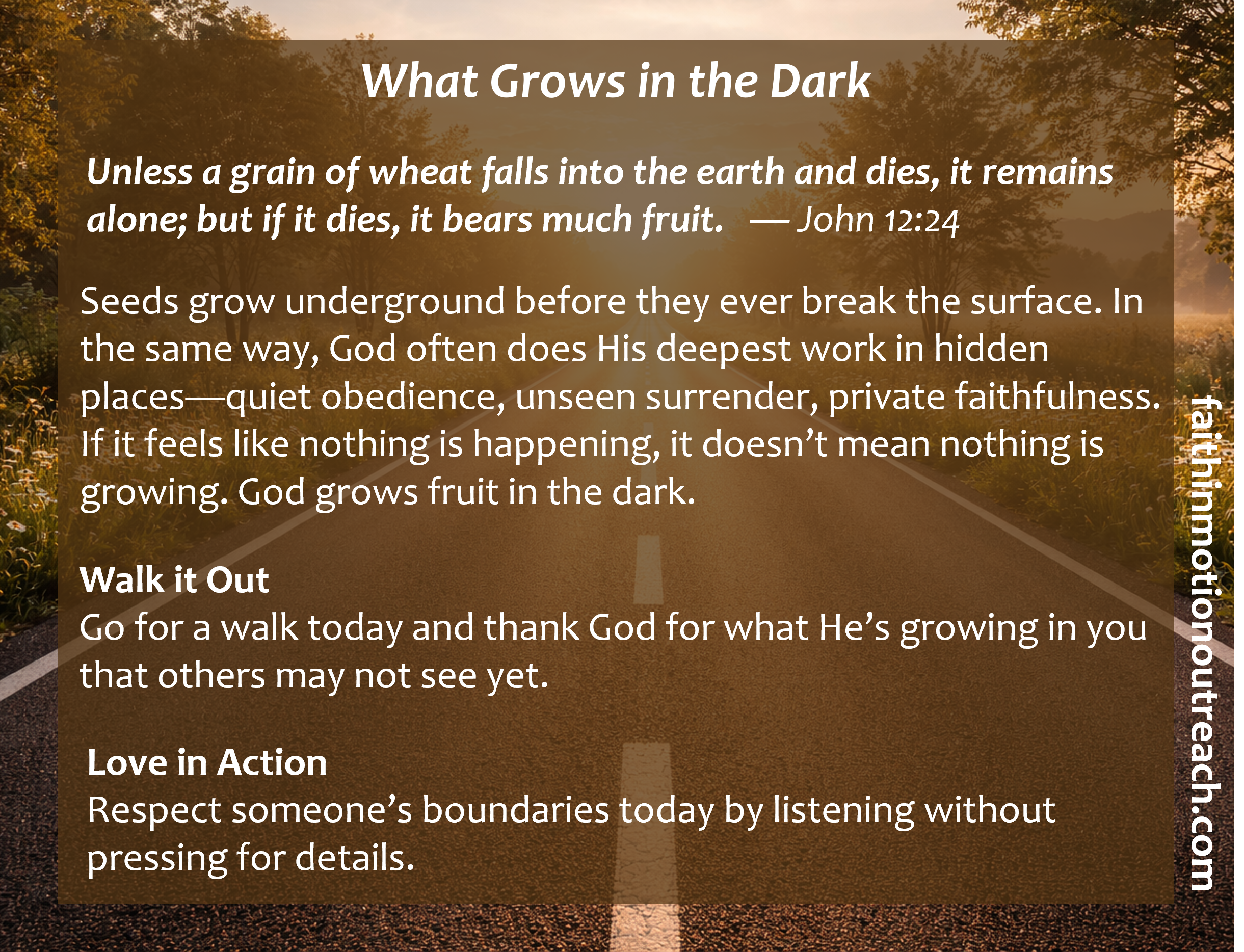 WhatGrowsInTheDark.png
