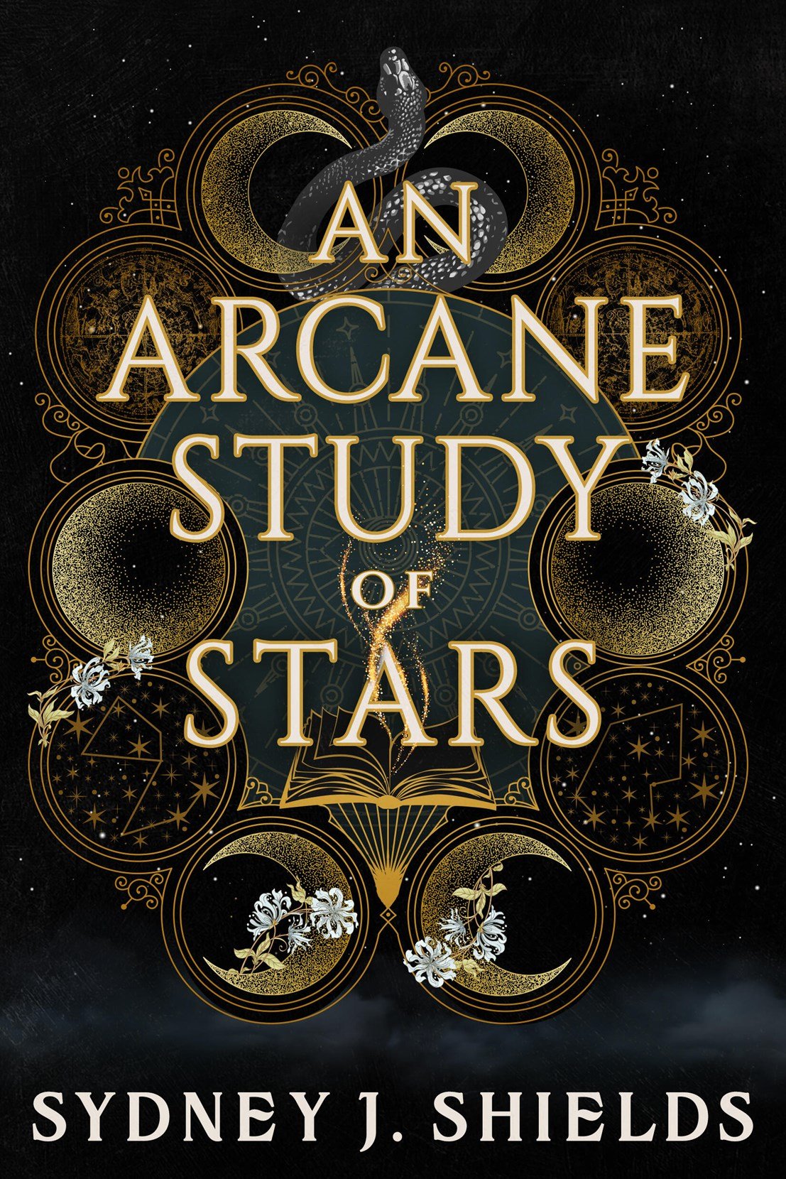 An Arcane Study of Stars by Sydney J. Shields Book Cover