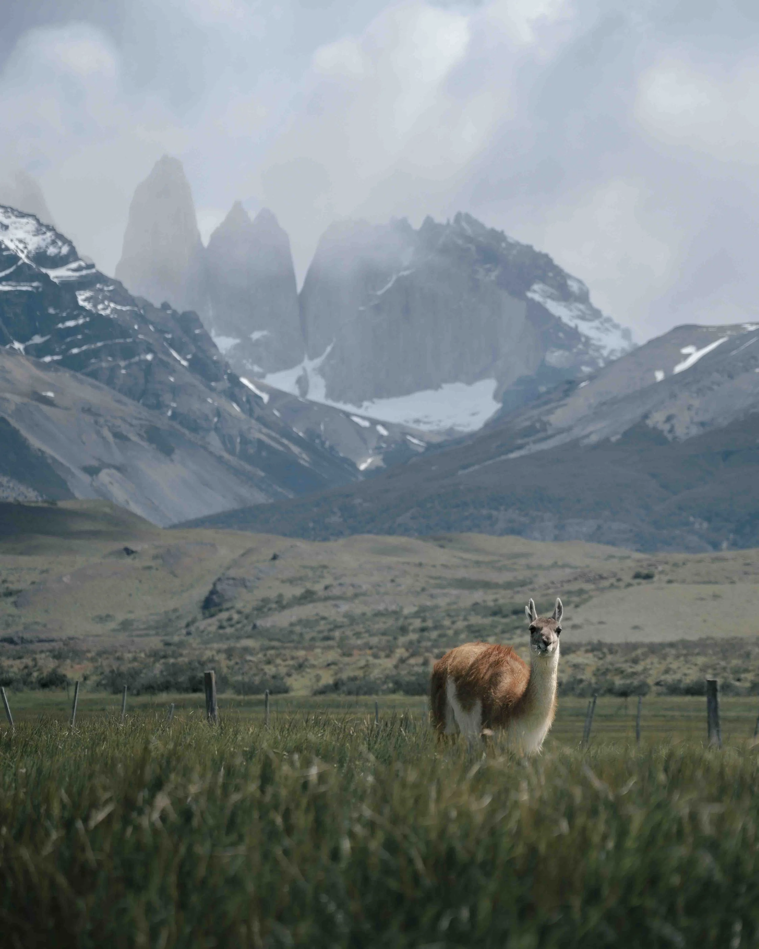 Patagonia-Website-16.jpg