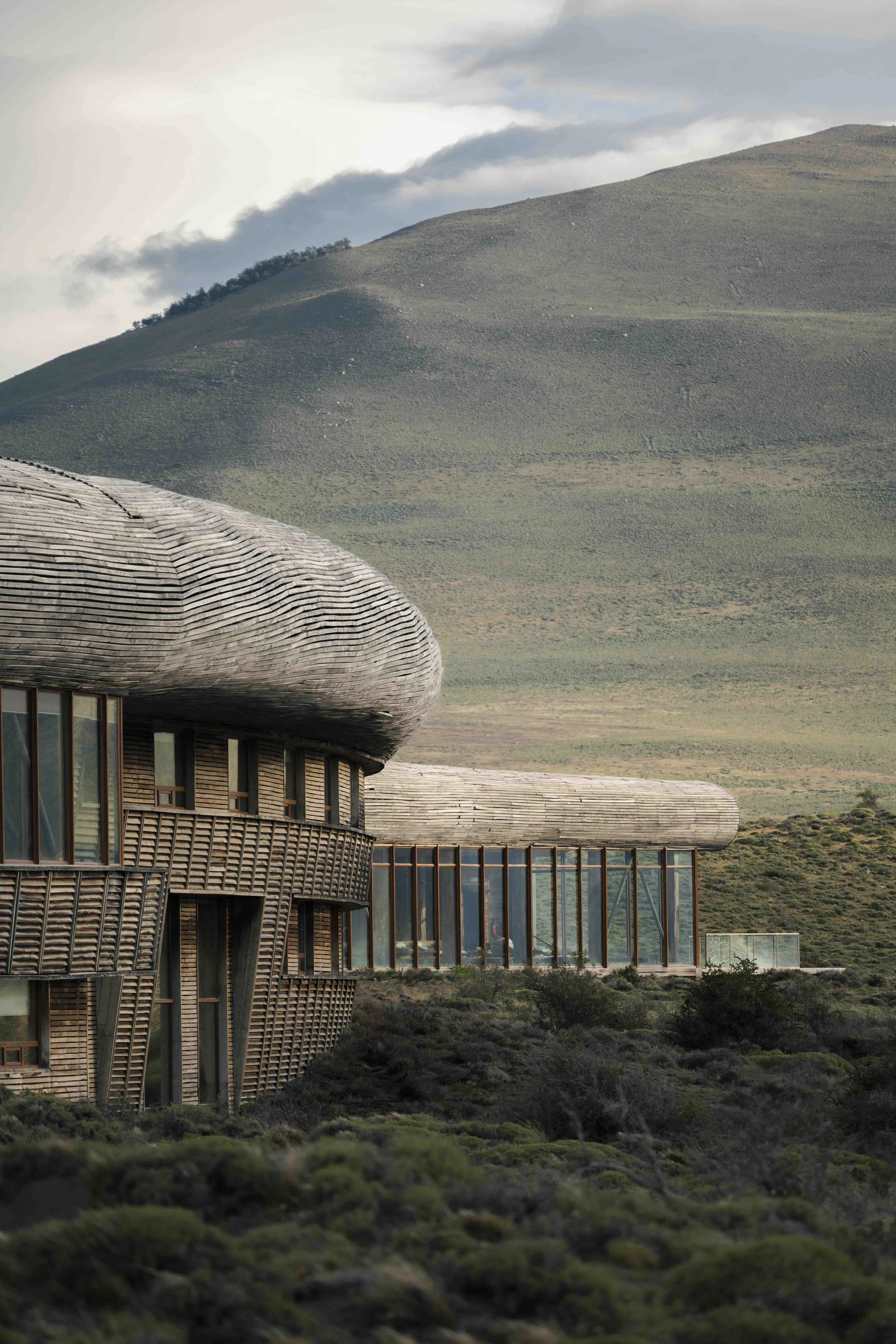 Patagonia-Website-14.jpg