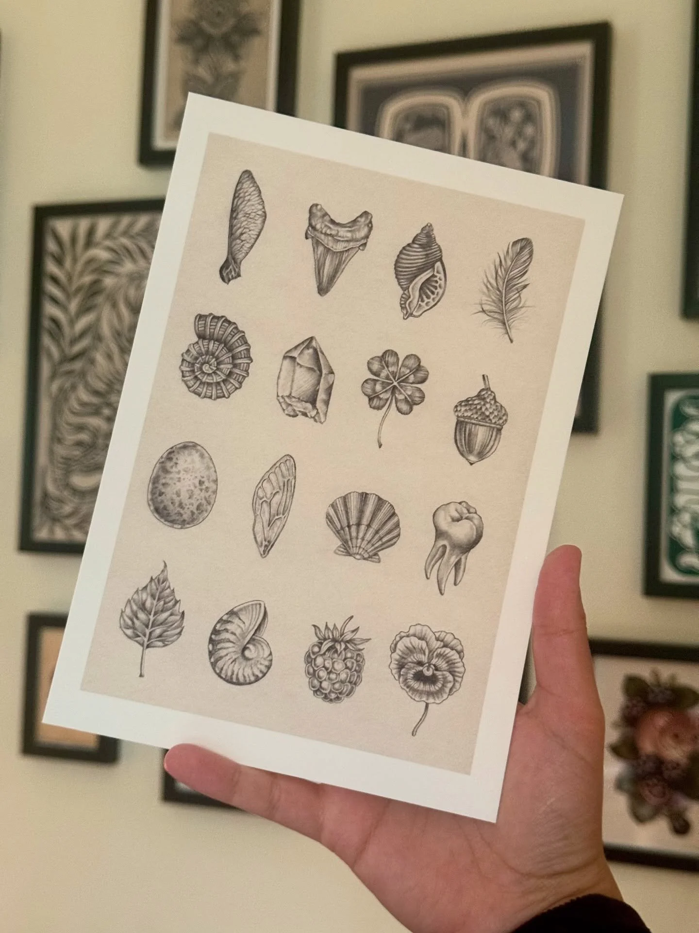 Pencil drawing of a collection of tiny treasures 🌱