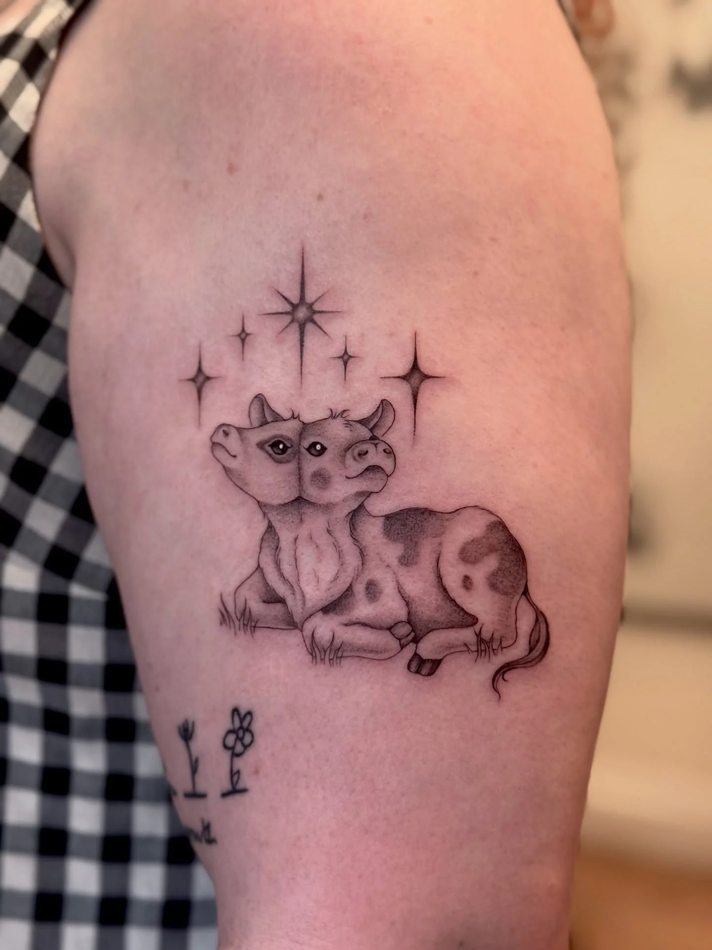 Based on the poem &ldquo;The Two-Headed Calf&rdquo; by Laura Gilpin ✨

&ldquo;Tomorrow when the farm boys find this freak of nature, they will wrap his body in newspaper and carry him to the museum.

But tonight he is alive and in the north field wit