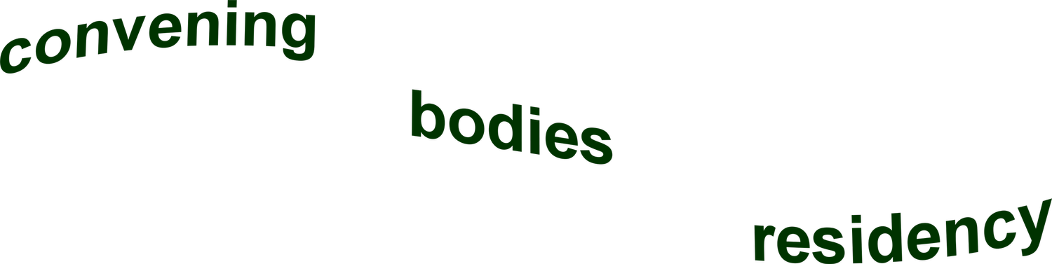 Convening Bodies Residency