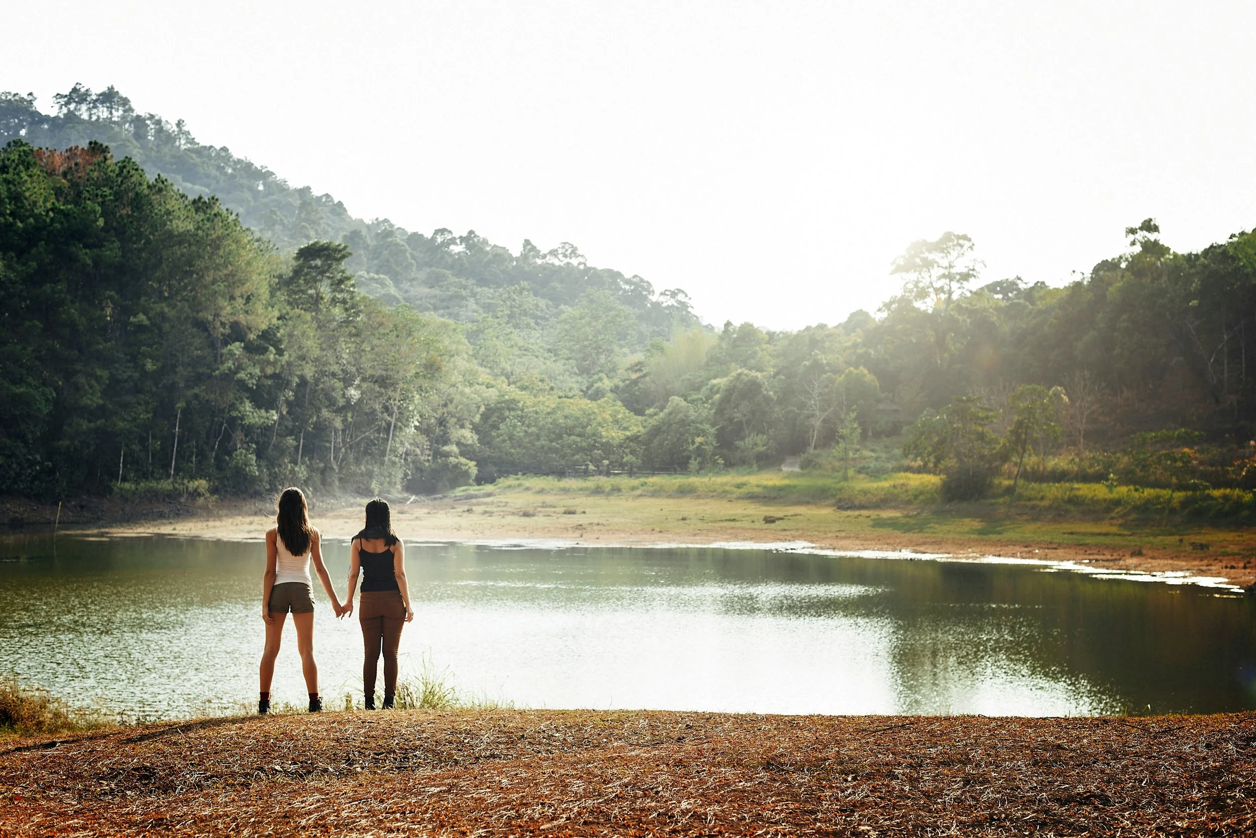 curated-lifestyle-WyjDOzQiKPo-unsplash.jpg