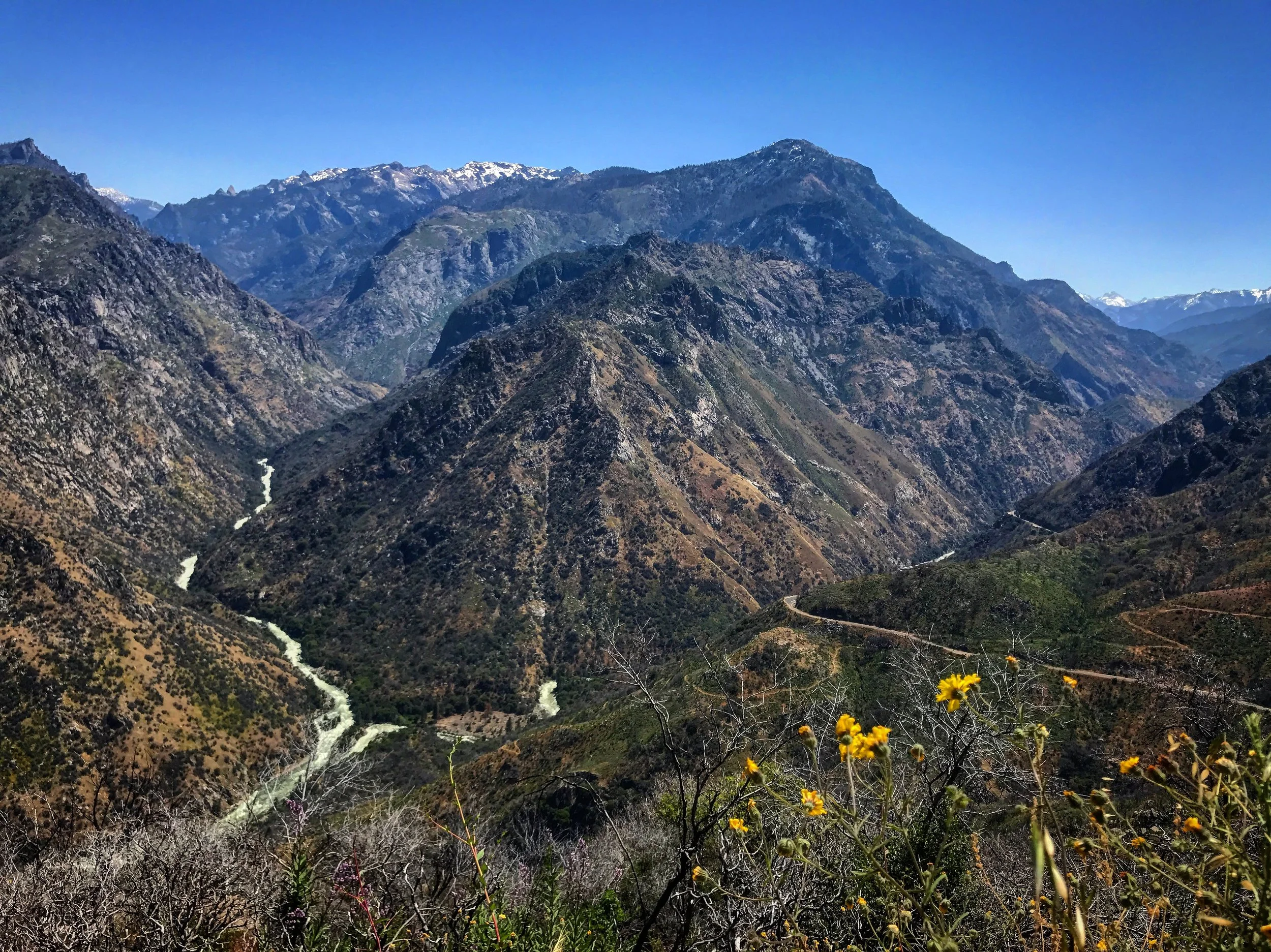 A mountainous landscape with rugged peaks, some with snow, and a river winding through the valley below. Yellow flowers are in the foreground.