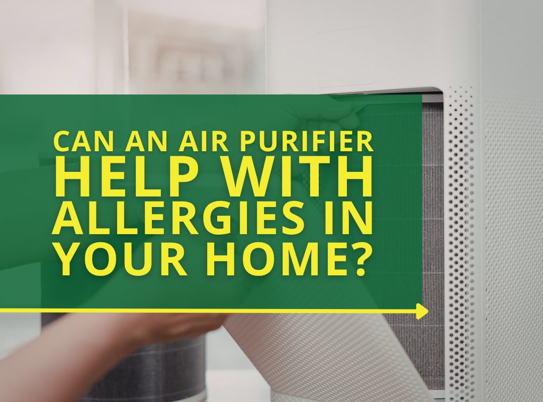 Can An Air Purifier Help with Allergies in Your Home?