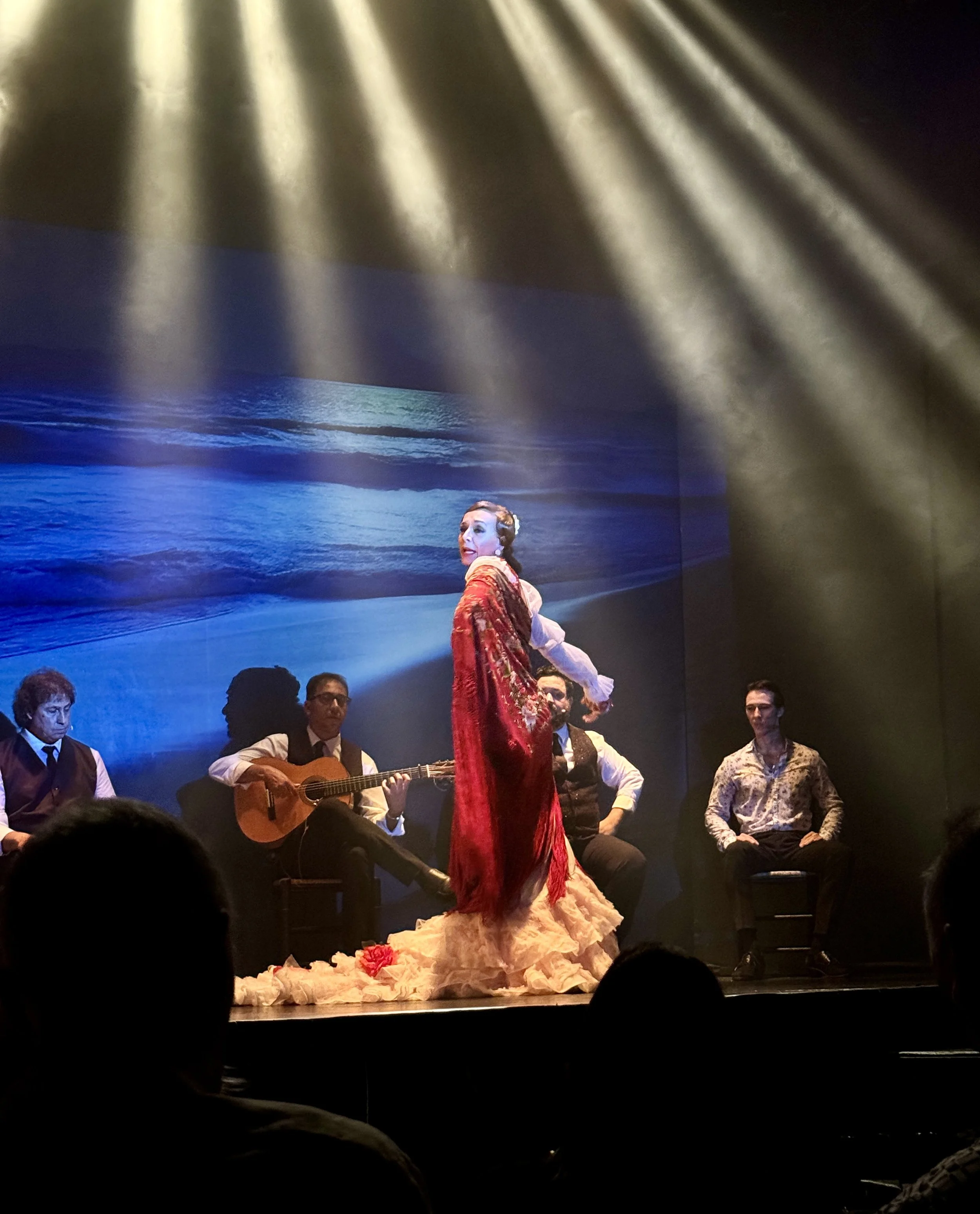 Teatro Flamenco Madrid