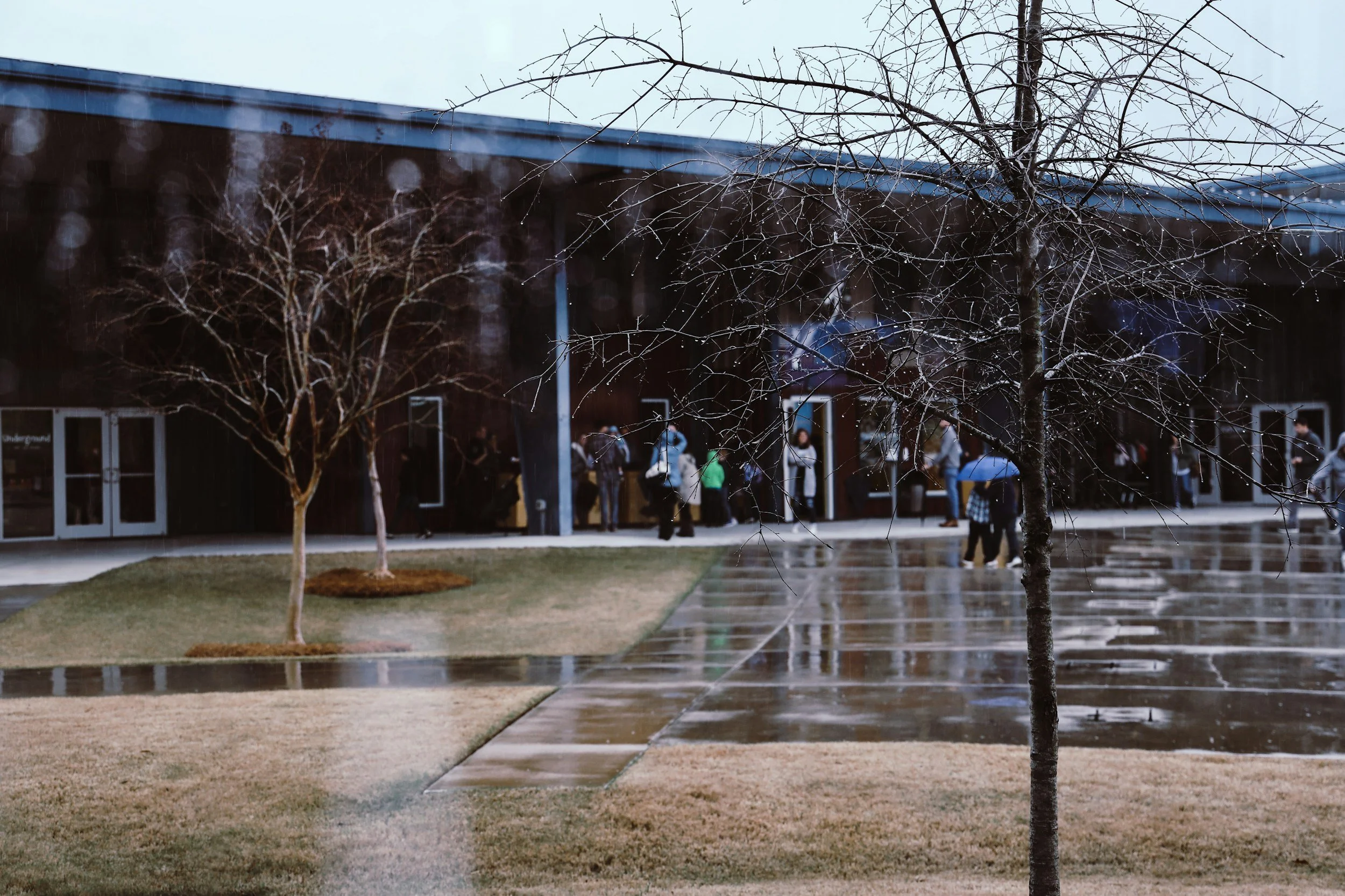 Rainy day scene outside a building with a group of people standing under the roof, wet pavement, leafless trees, and wet grass.