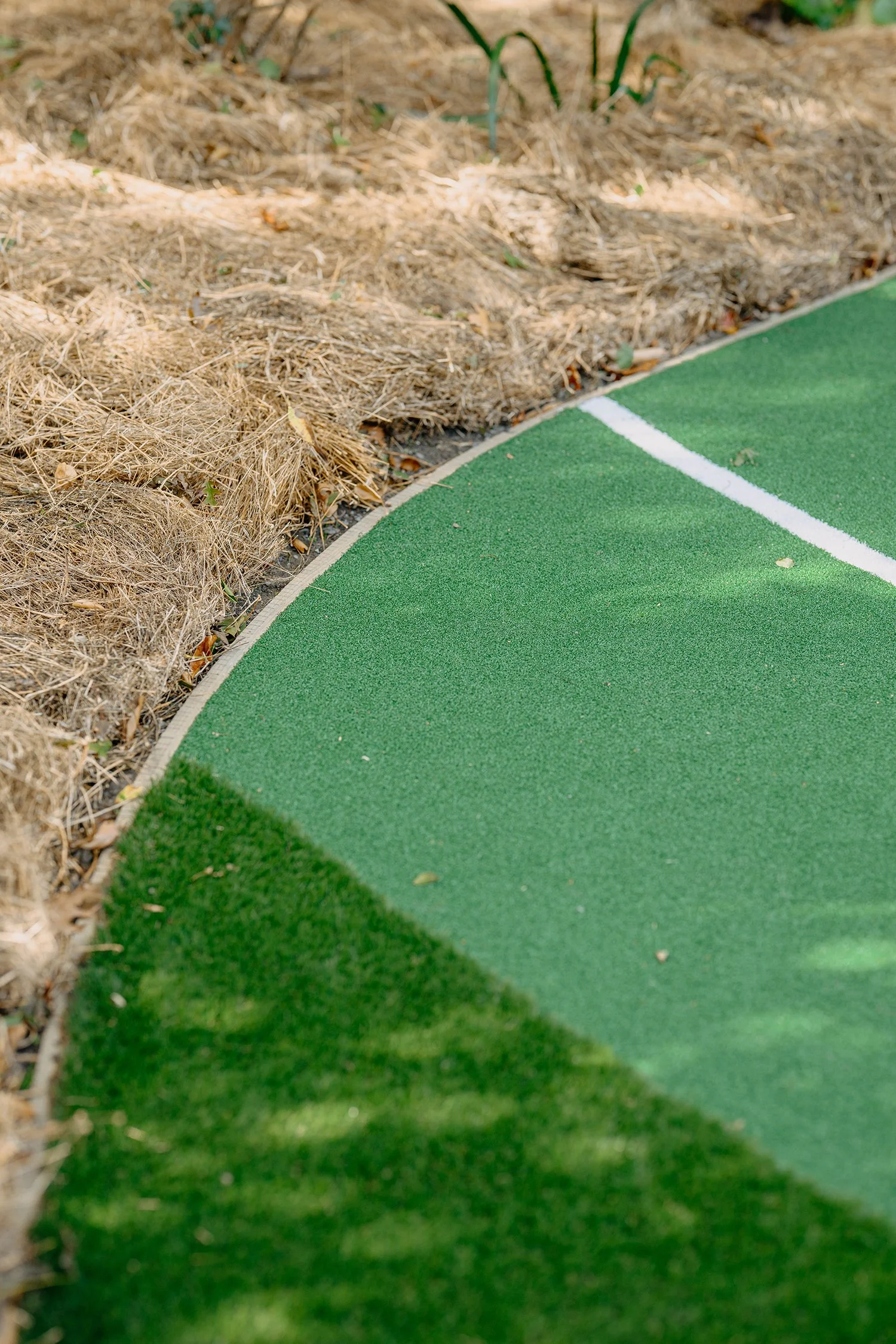 backyard-basketball-putting-green-markings-3.jpg