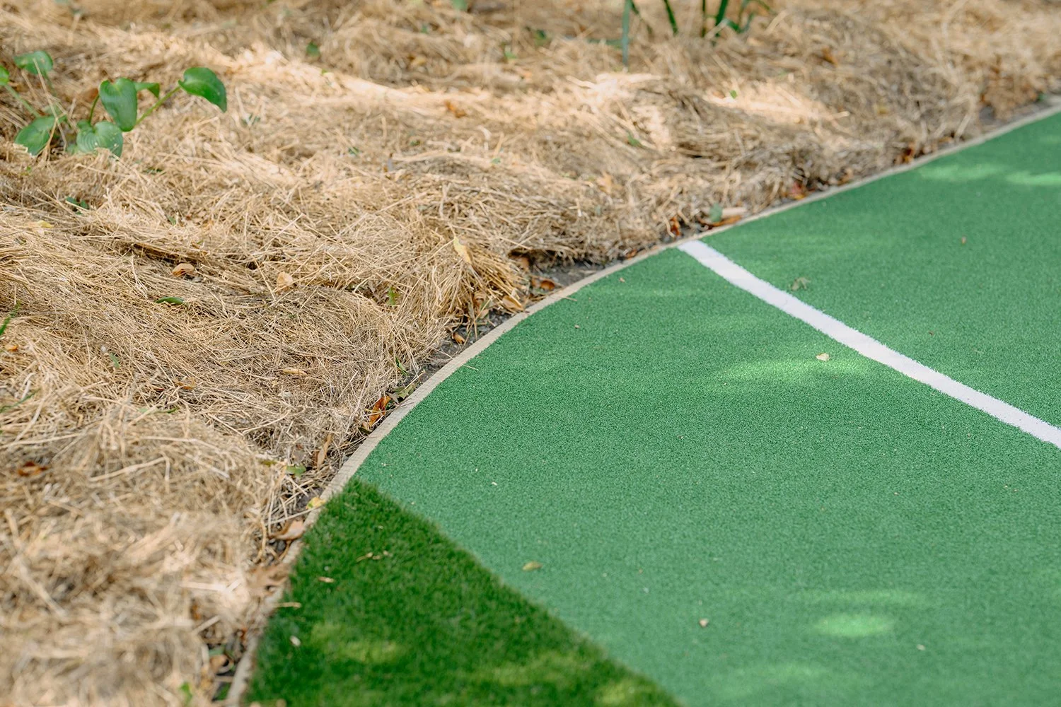 backyard-basketball-putting-green-markings-2.jpg